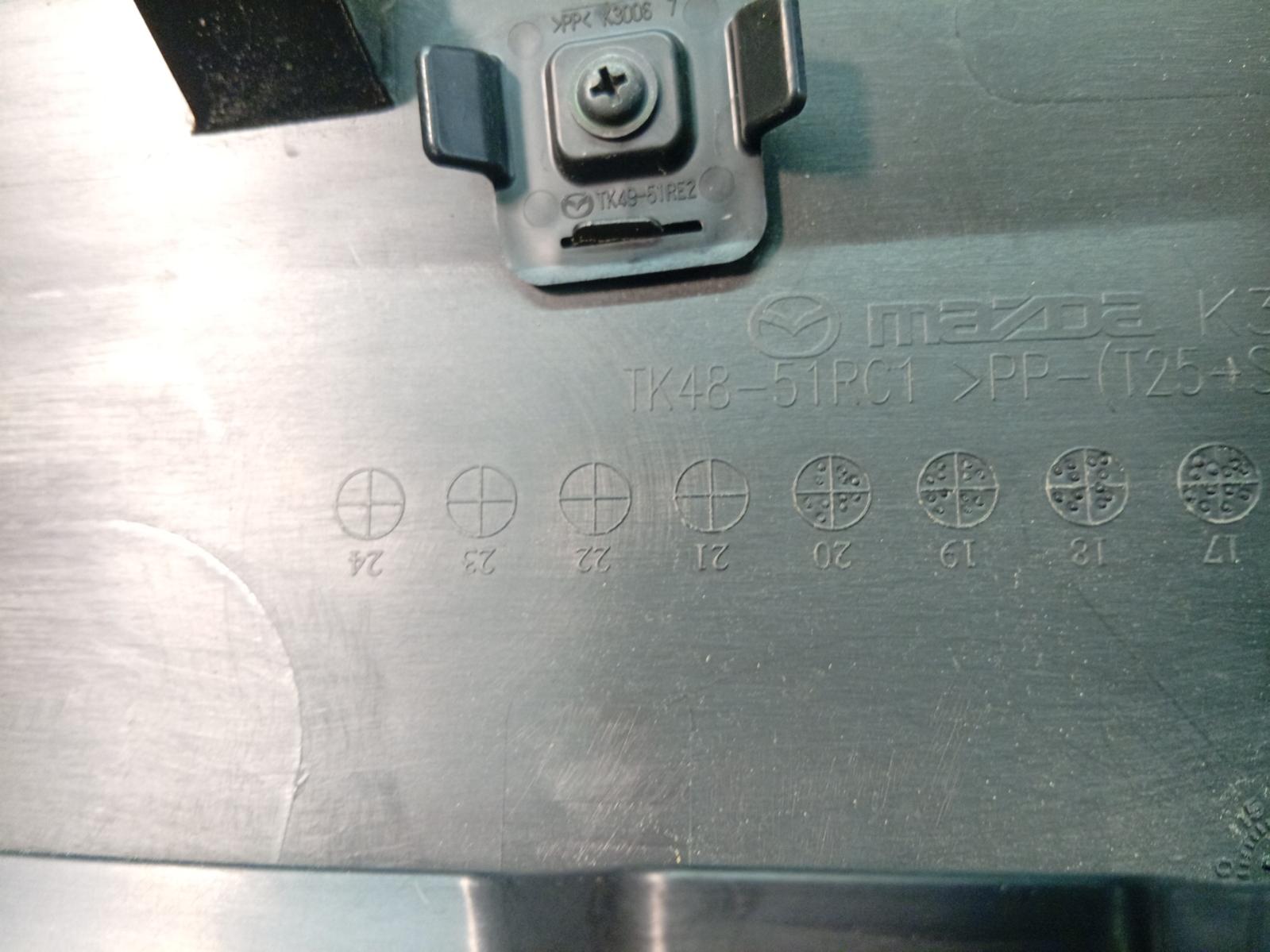 Body Door Mould