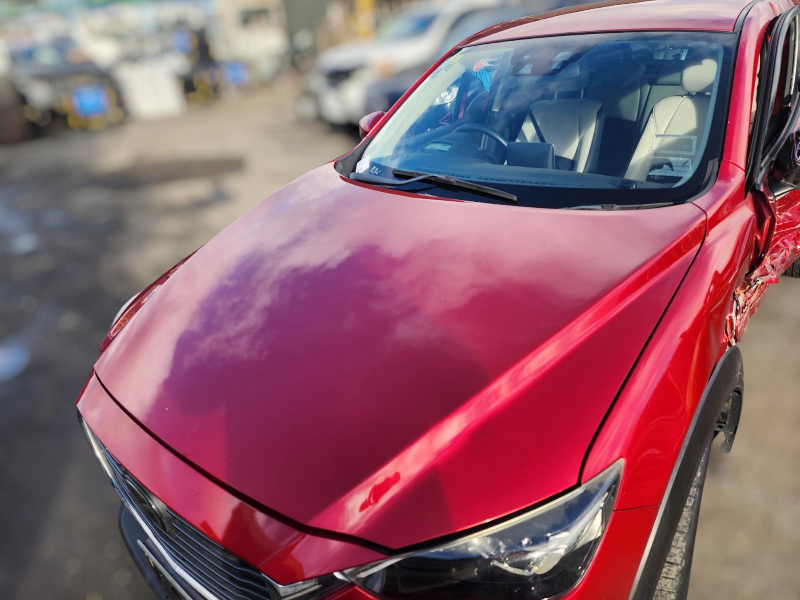 Bonnet