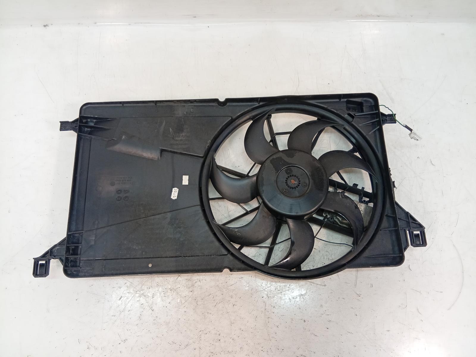 Fan