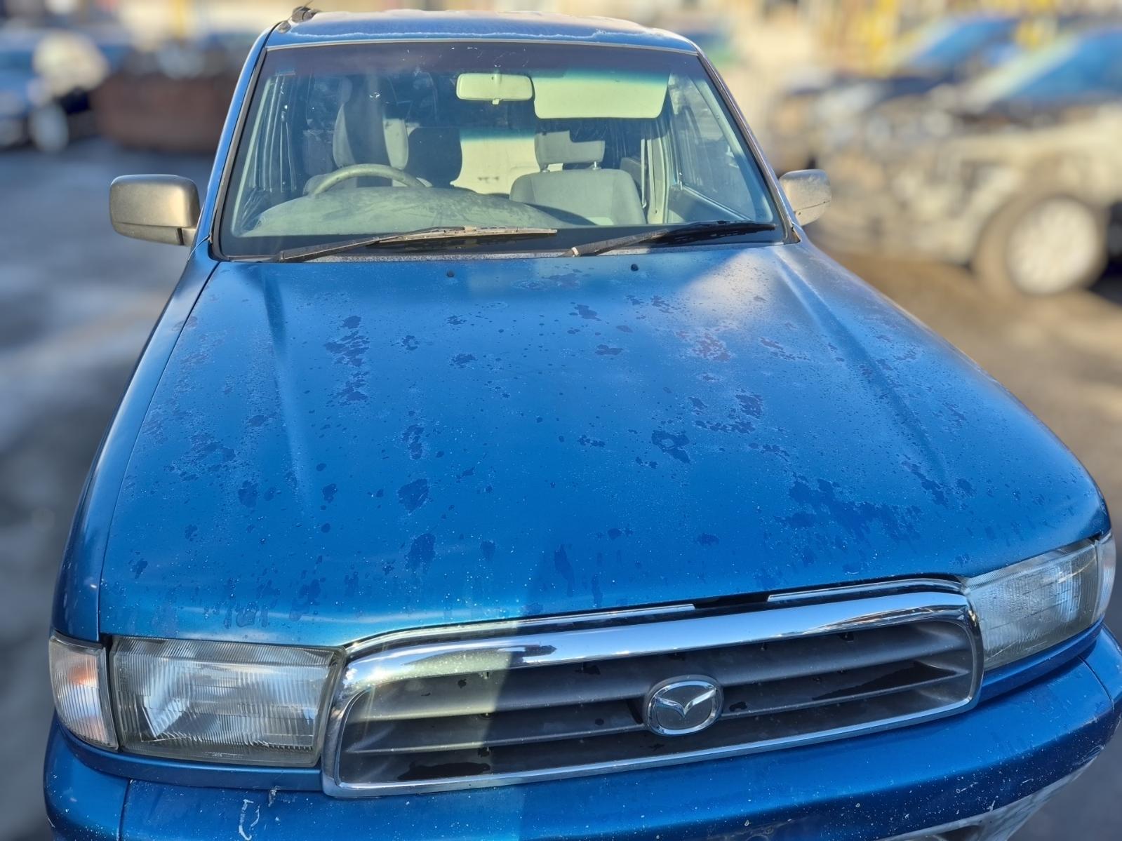 Bonnet