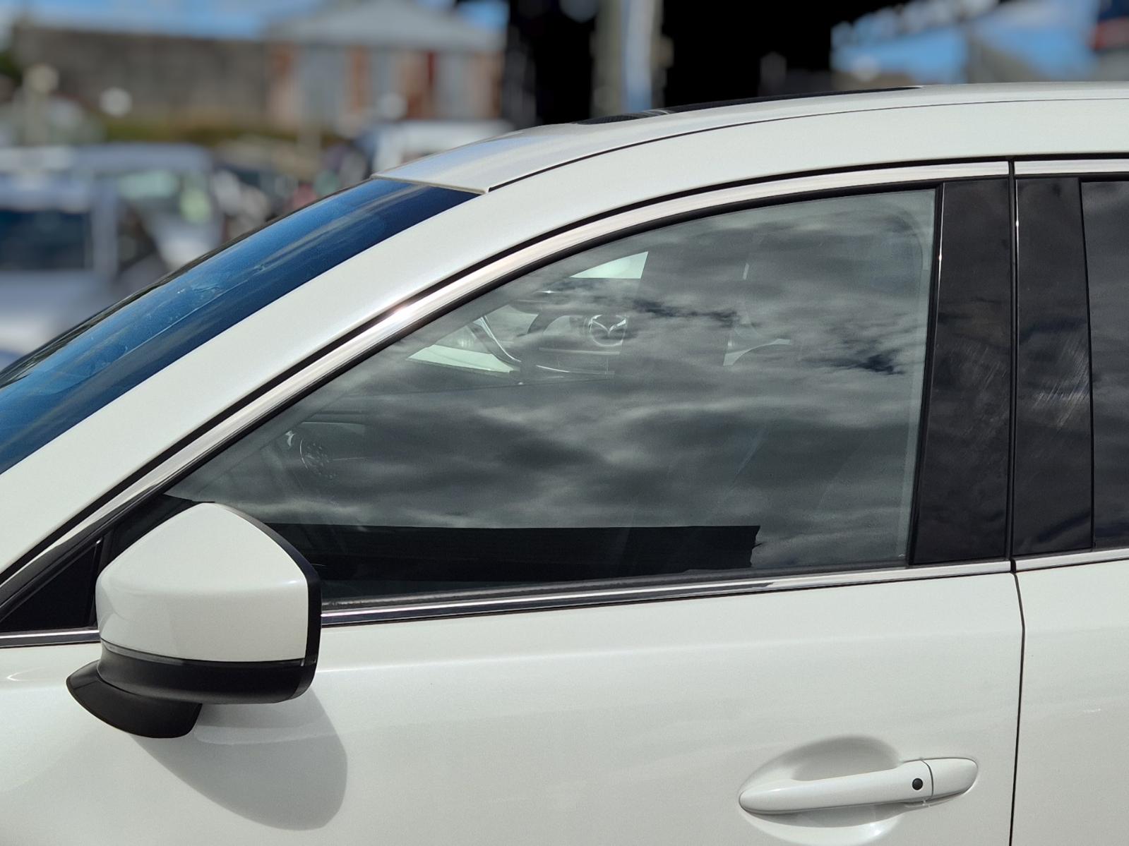 Left_Front_Door_Window