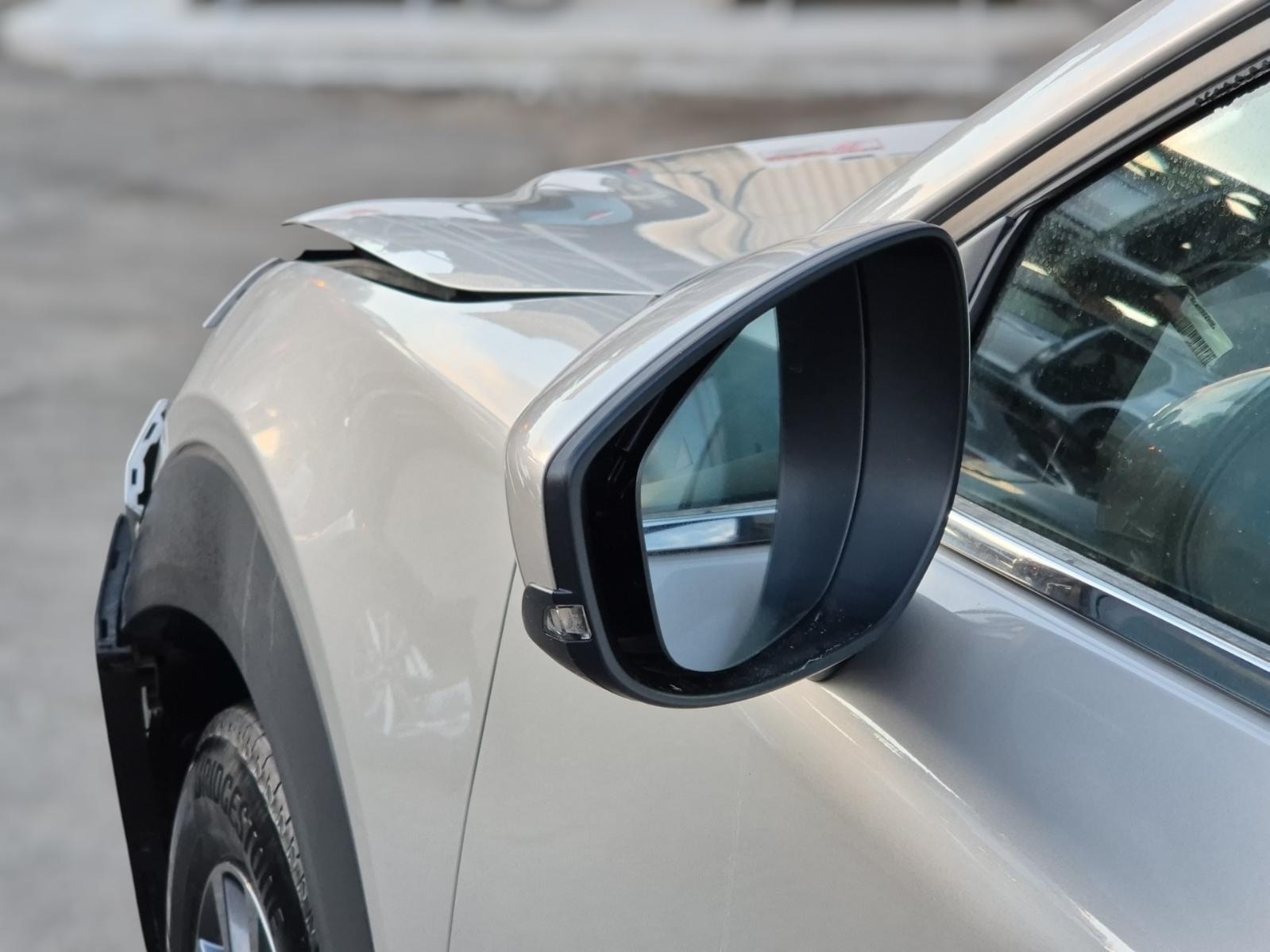 Left_Door_Mirror