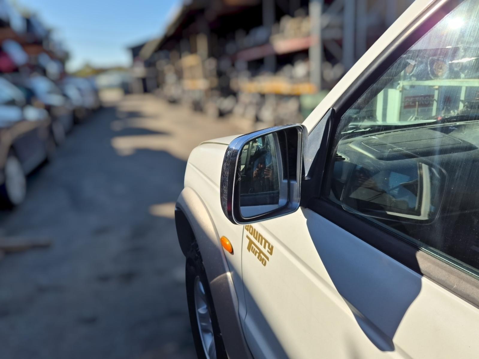 Left_Door_Mirror