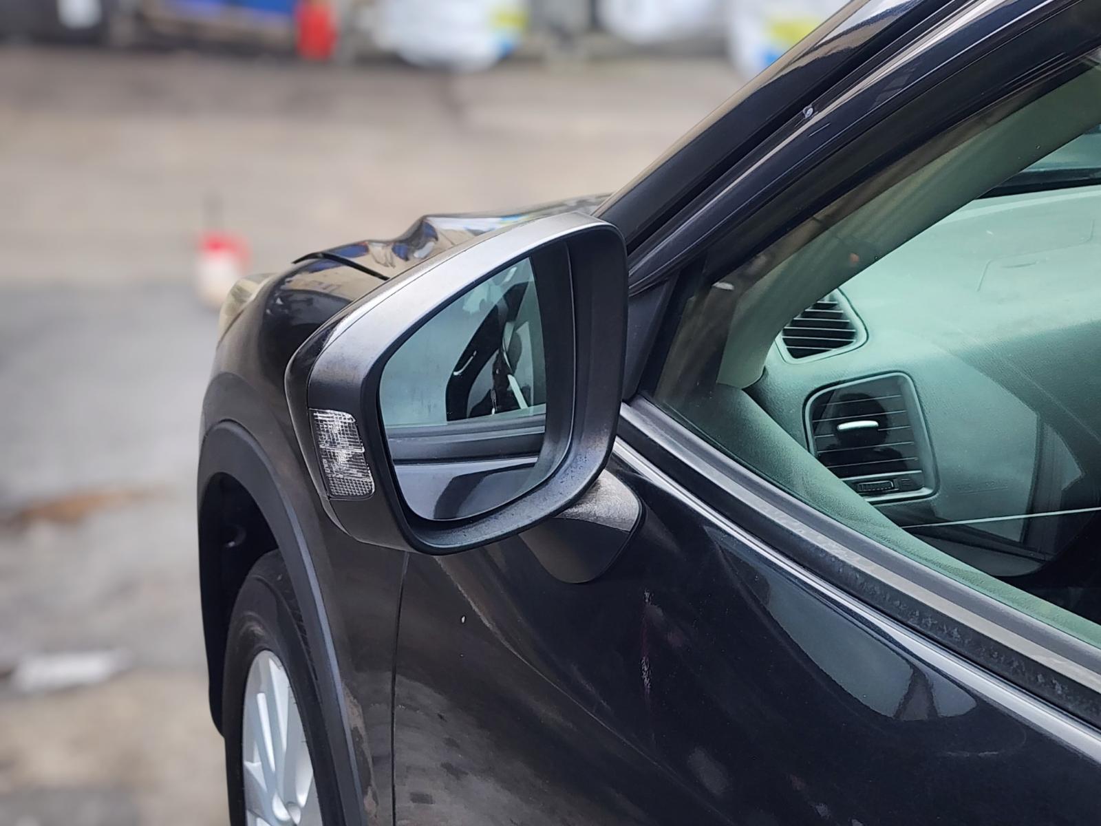 Left Door Mirror