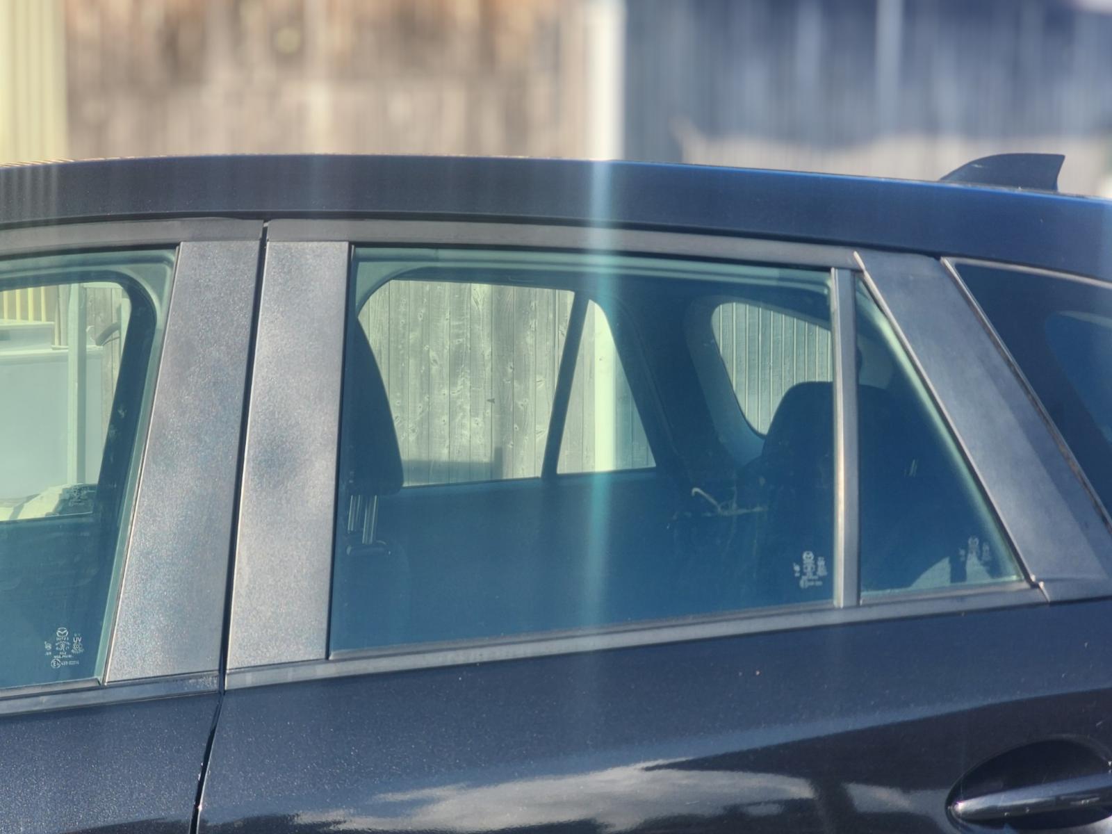 Left Rear Door Window