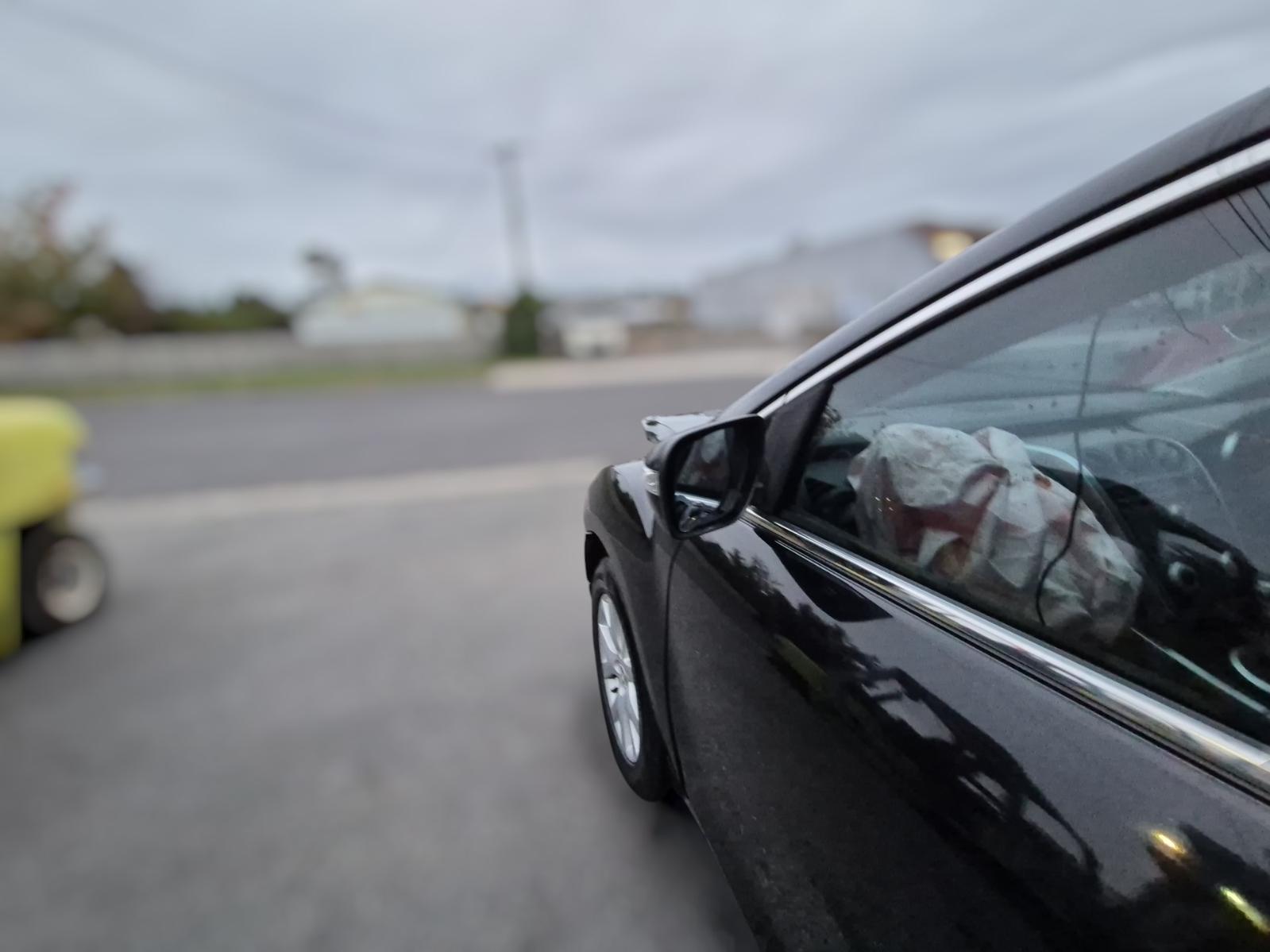 Left_Door_Mirror