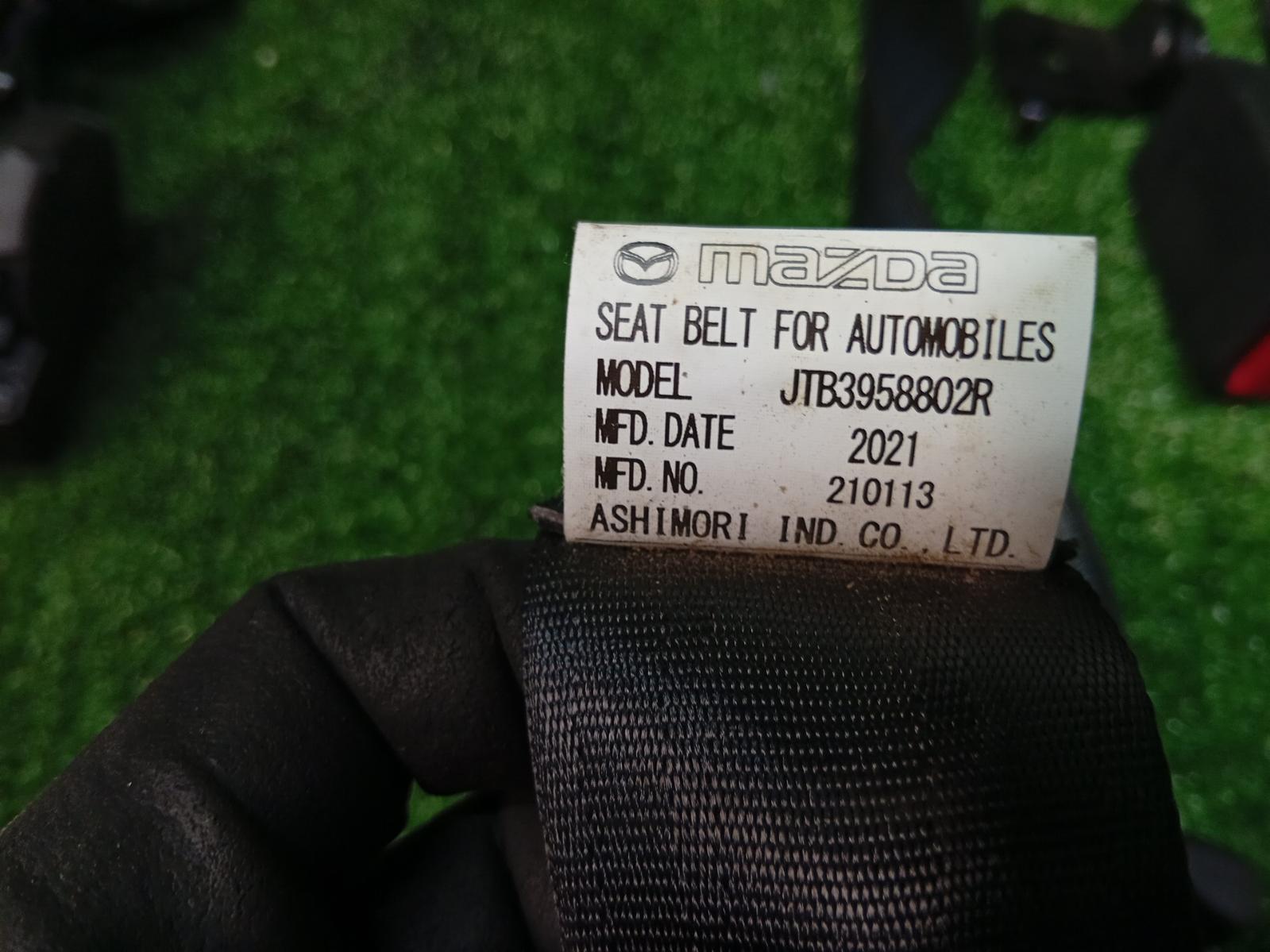 Seat Belt Stalk