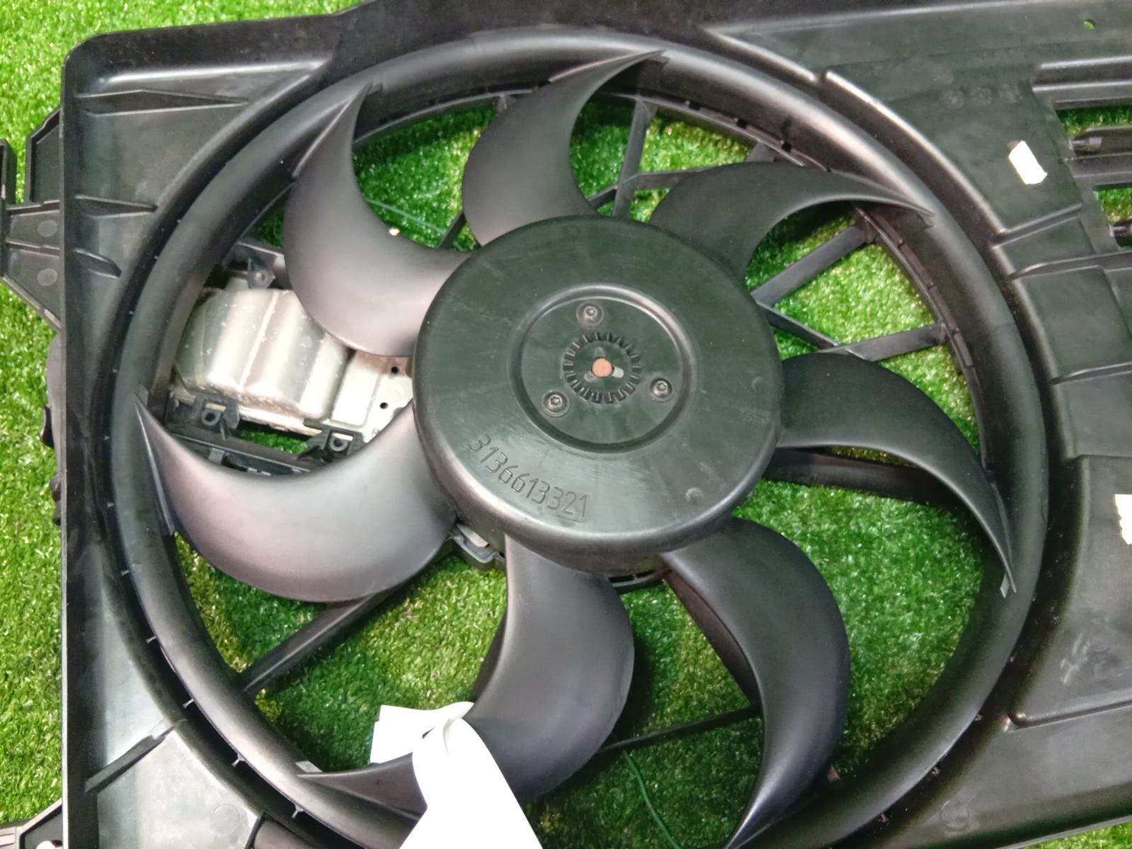 Fan