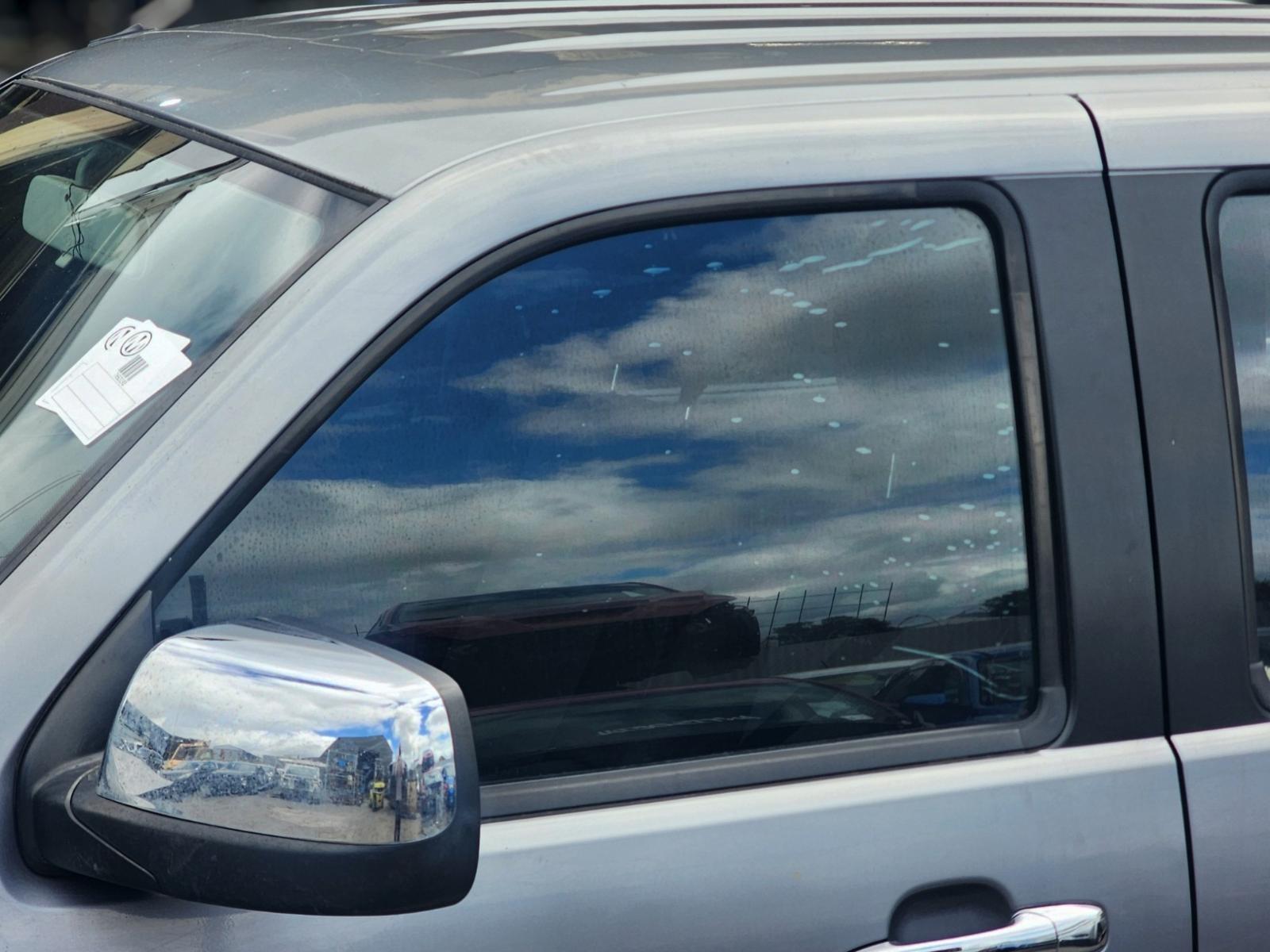 Left Front Door Window