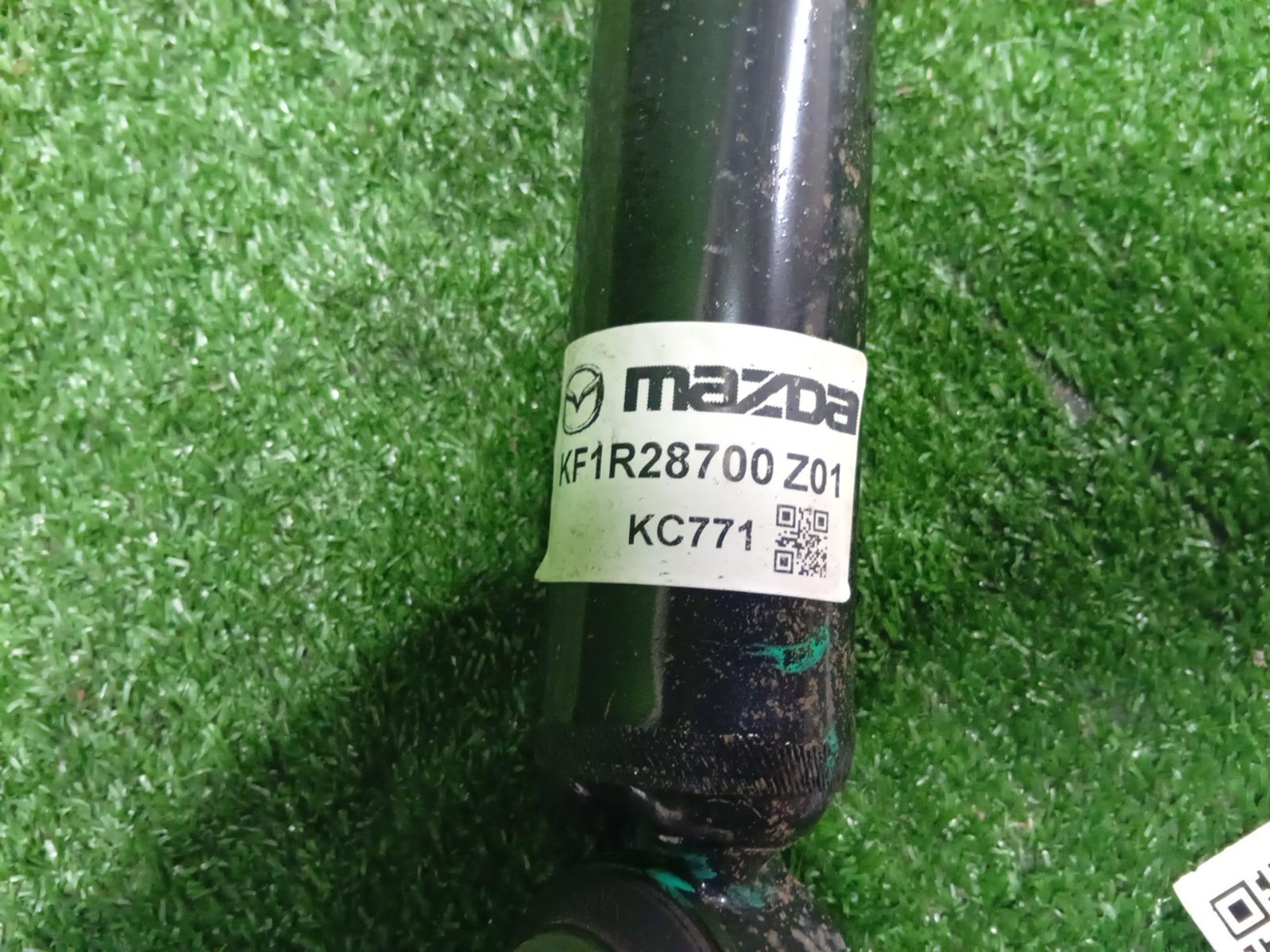 Shock Absorber