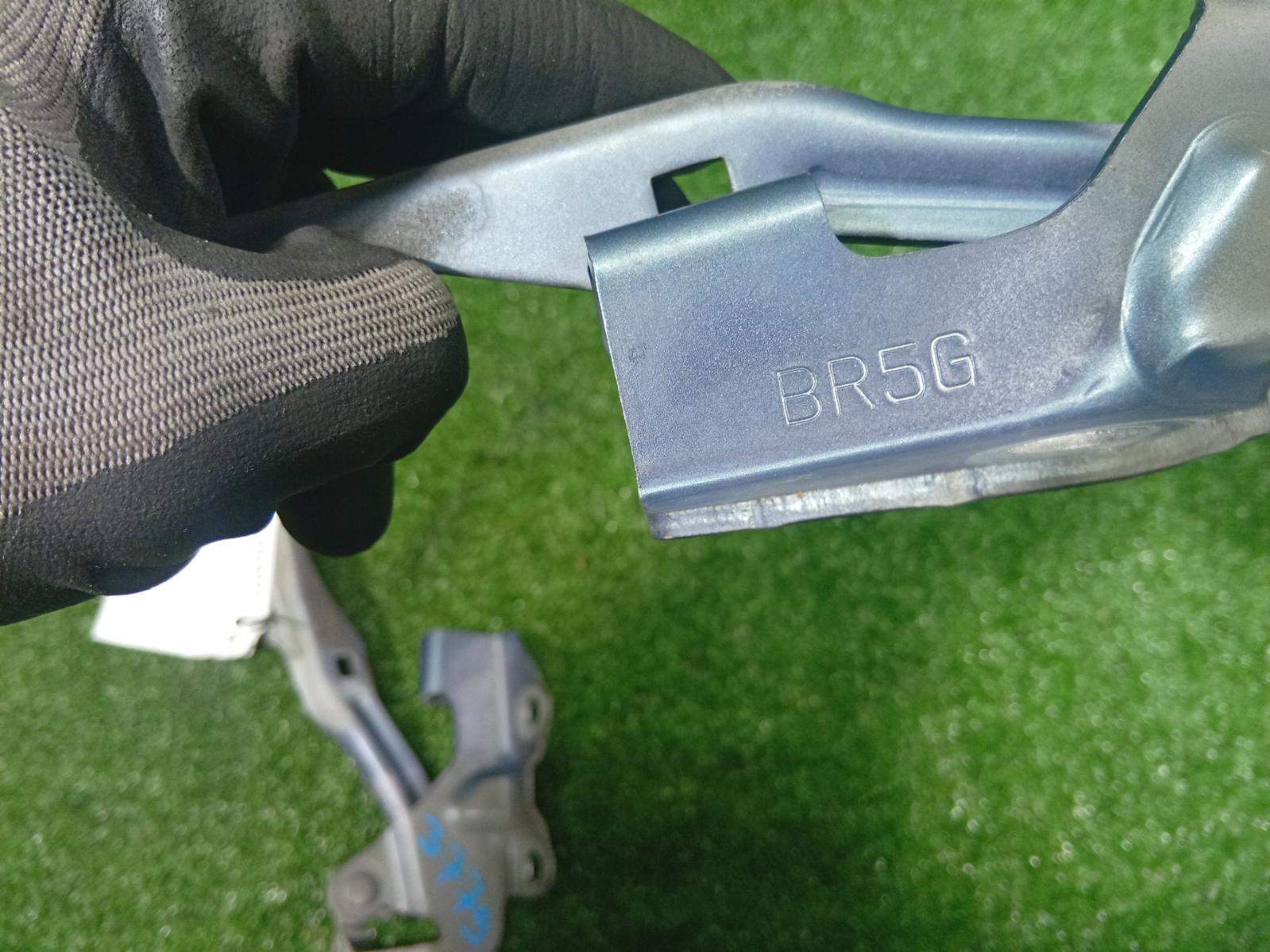 Bonnet Hinge Strut