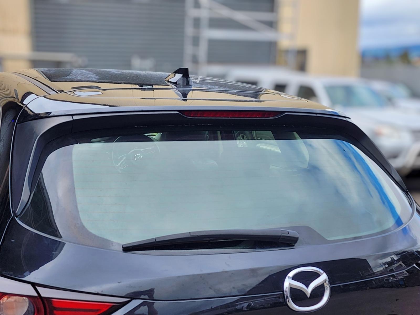 Rear Tailgate Glass