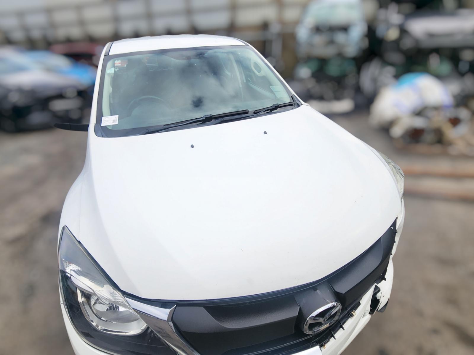Windscreen