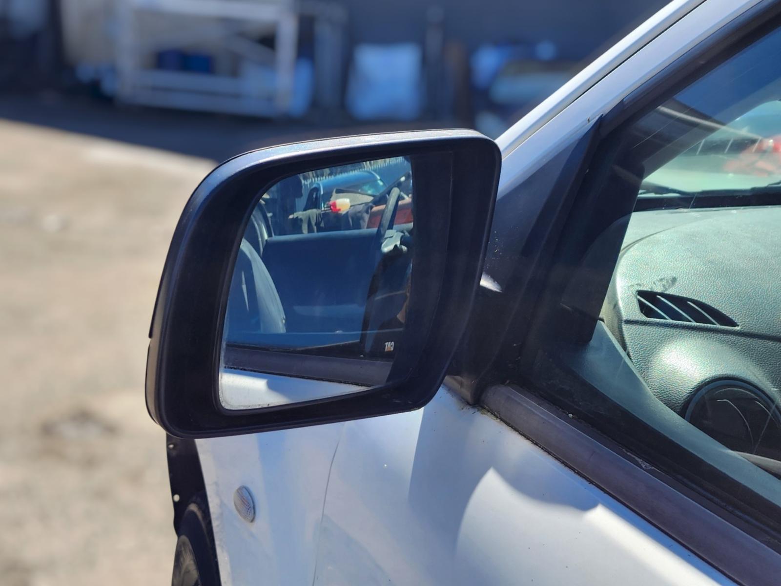 Left Door Mirror