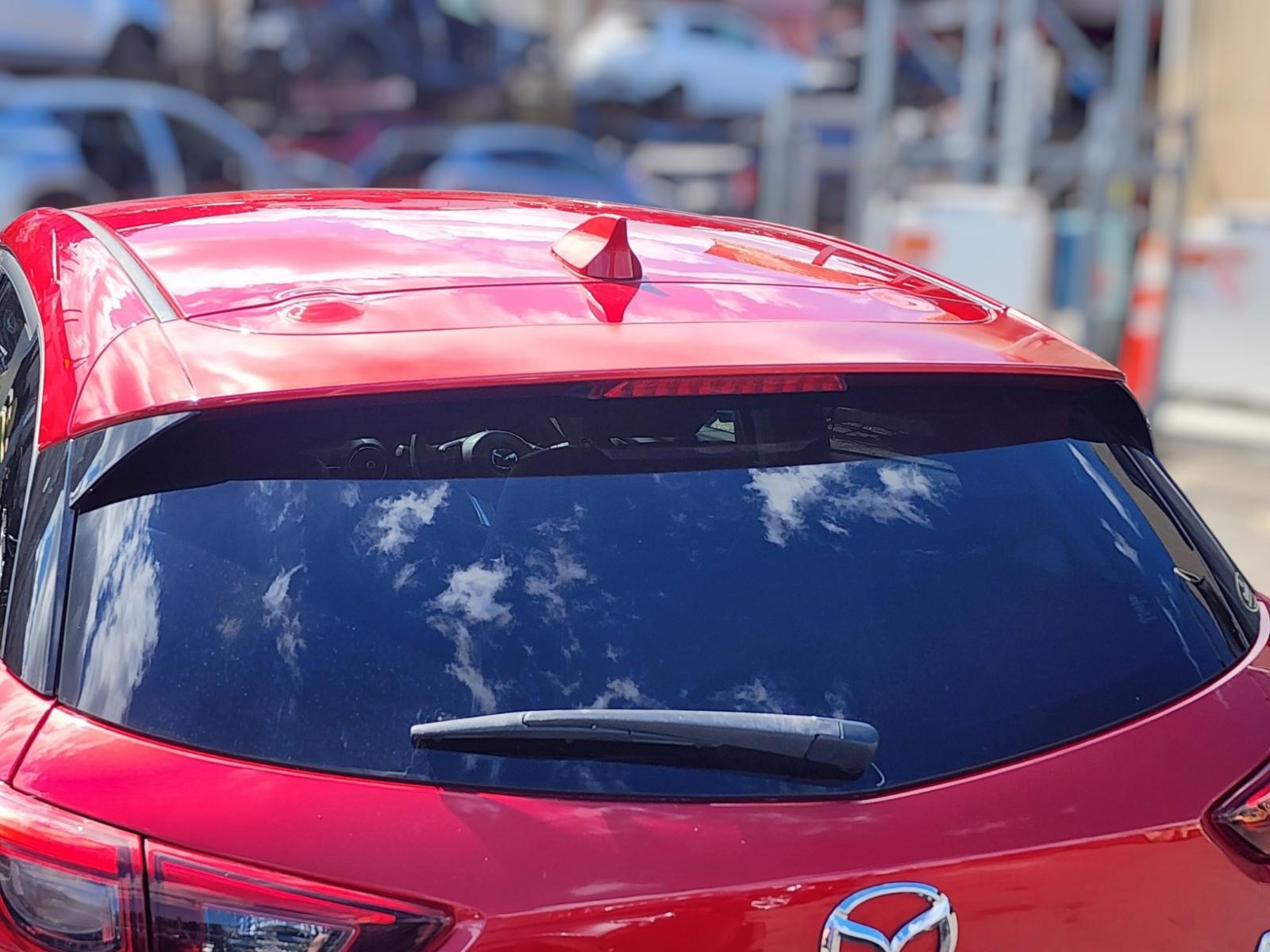 Rear Tailgate Glass