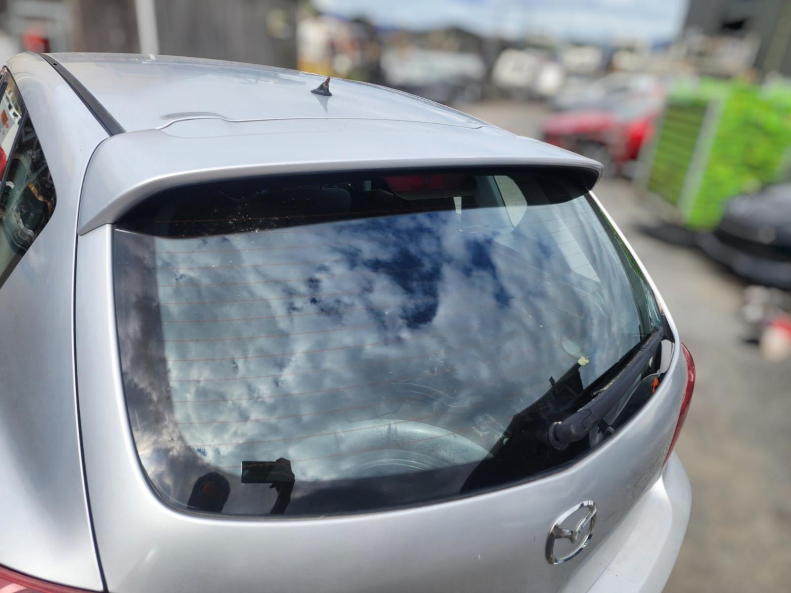 Rear Tailgate Glass