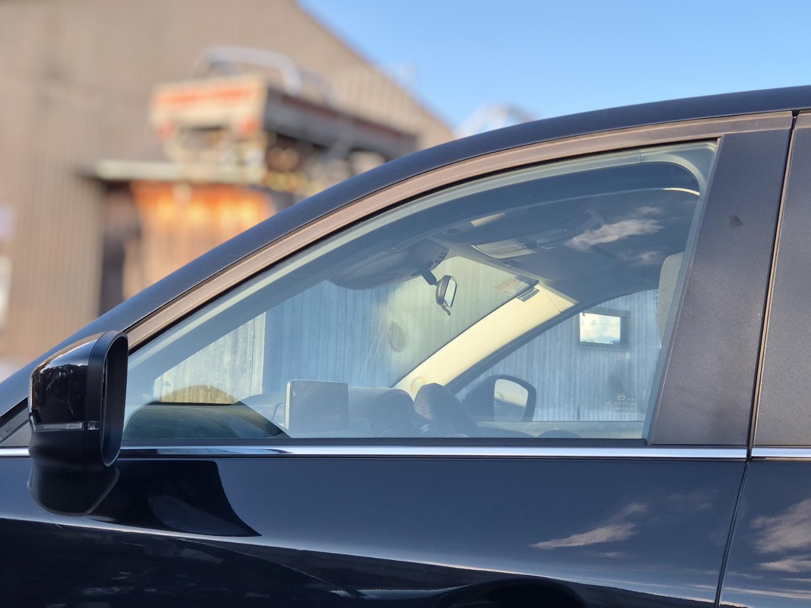 Left_Front_Door_Window