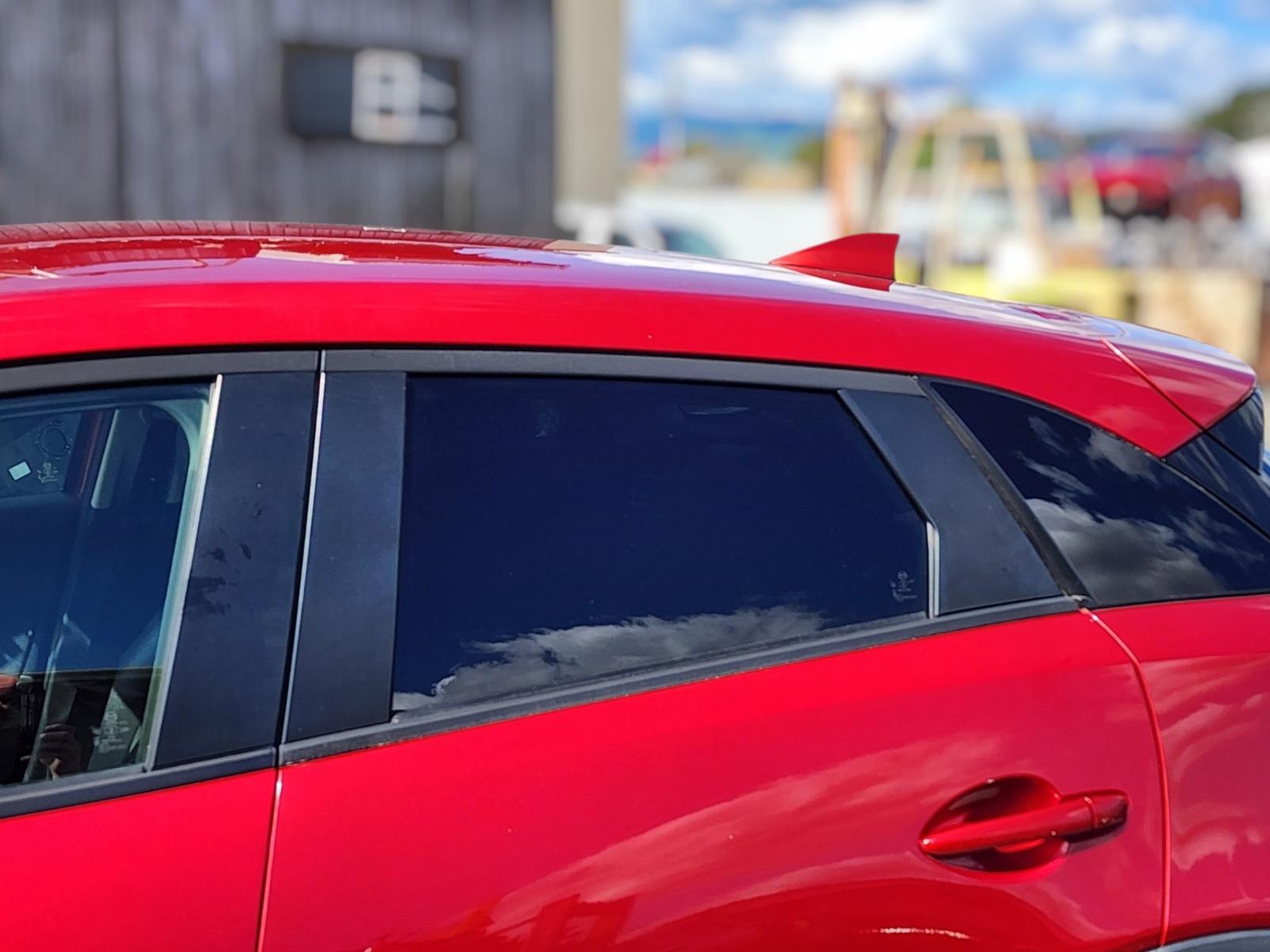 Left Rear Door Window