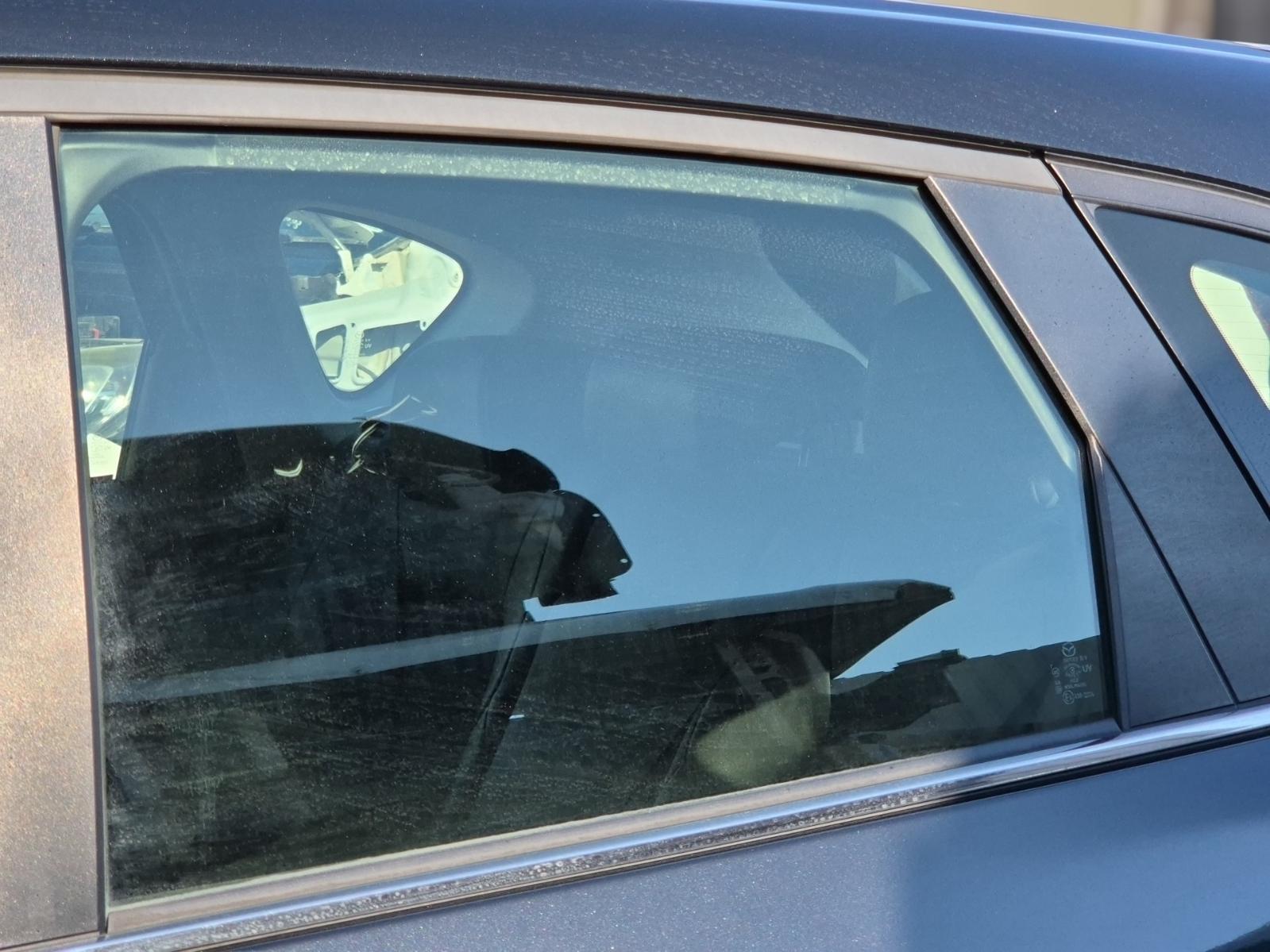 Left_Rear_Door_Window
