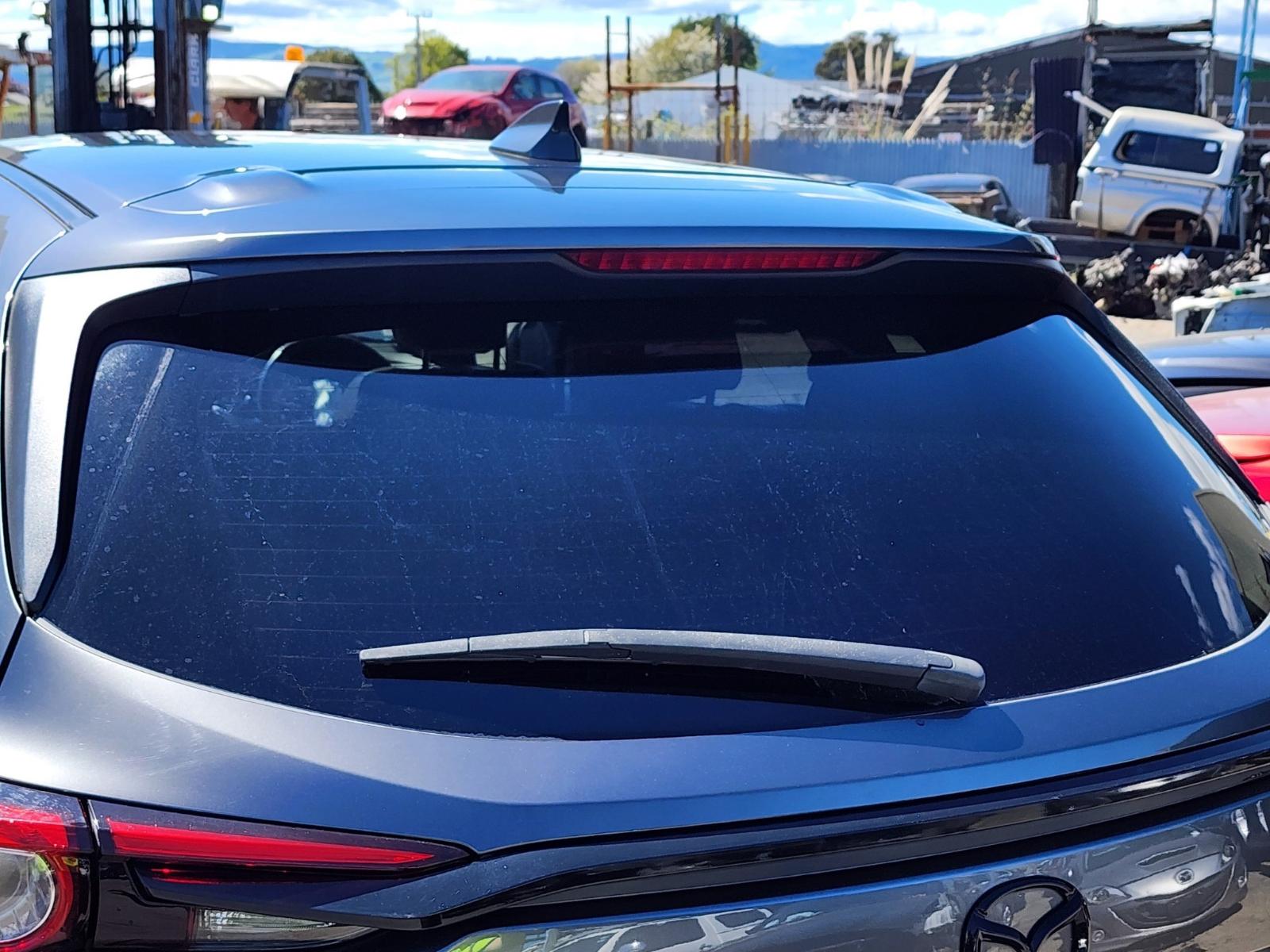 Rear Tailgate Glass
