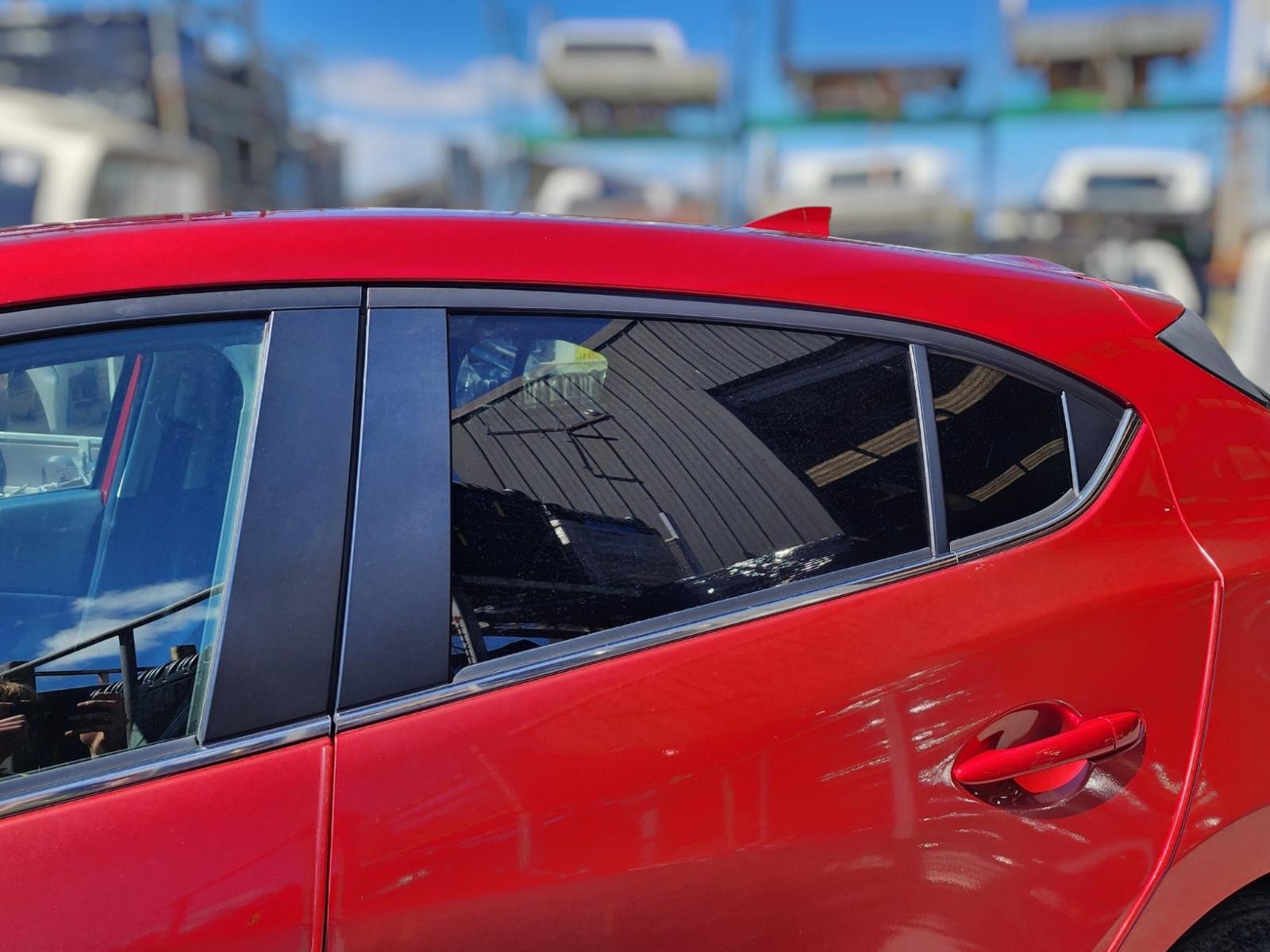 Left Rear Door Window