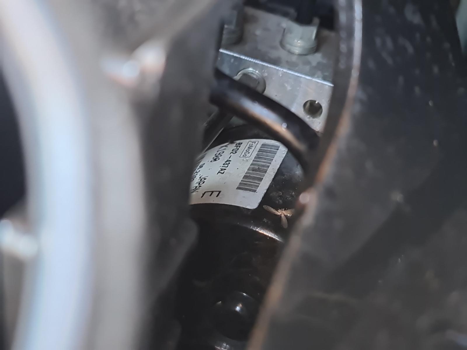 Mazda Axela - BL 2009-2013