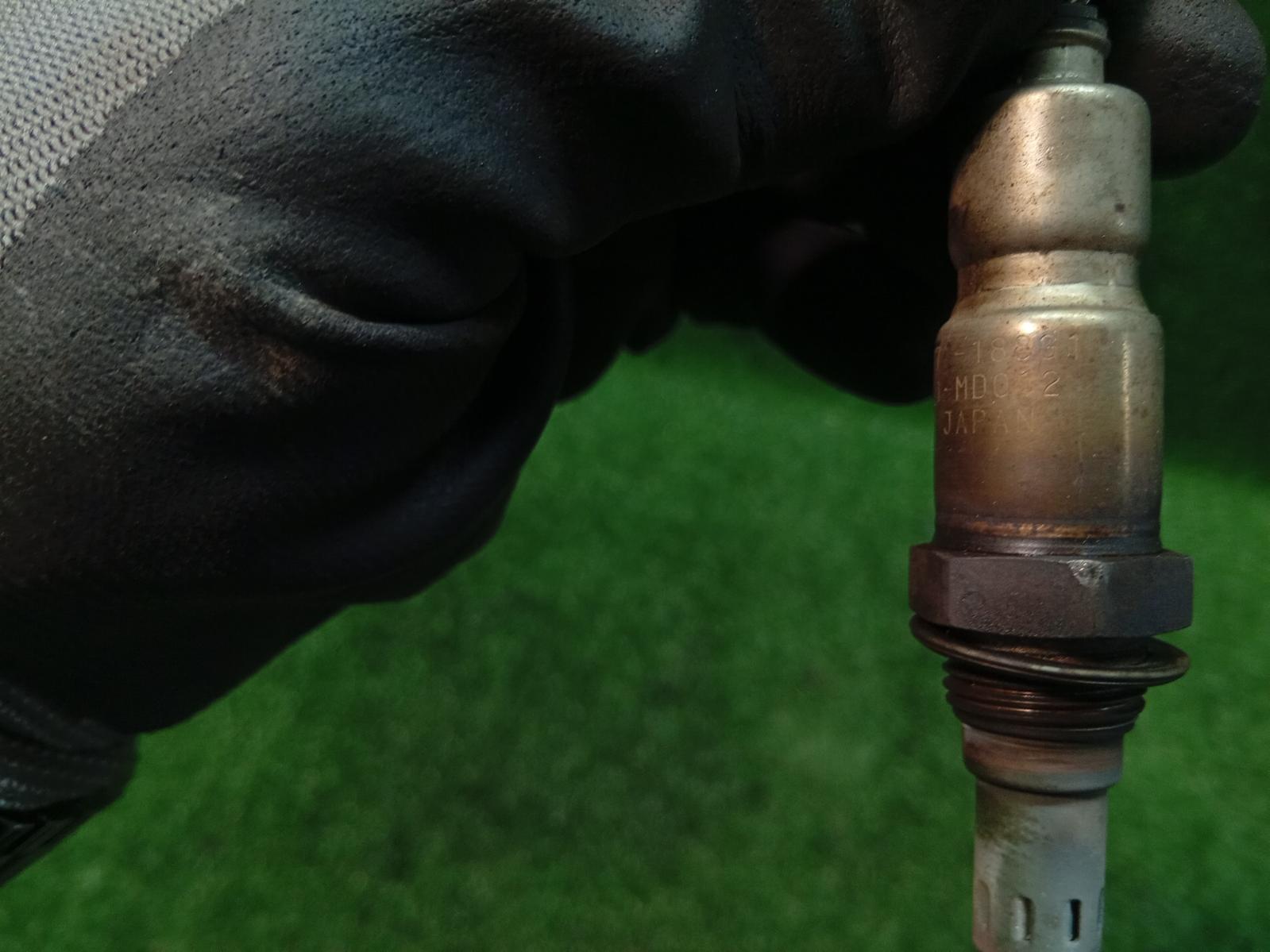 Oxygen Sensor