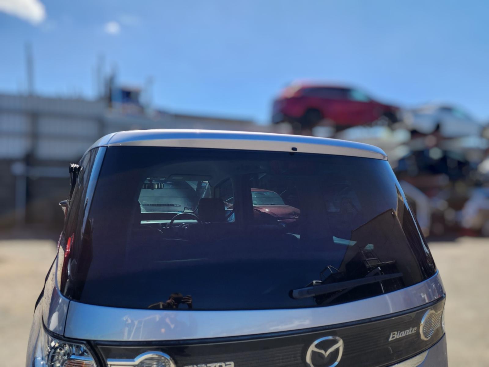 Rear Tailgate Glass