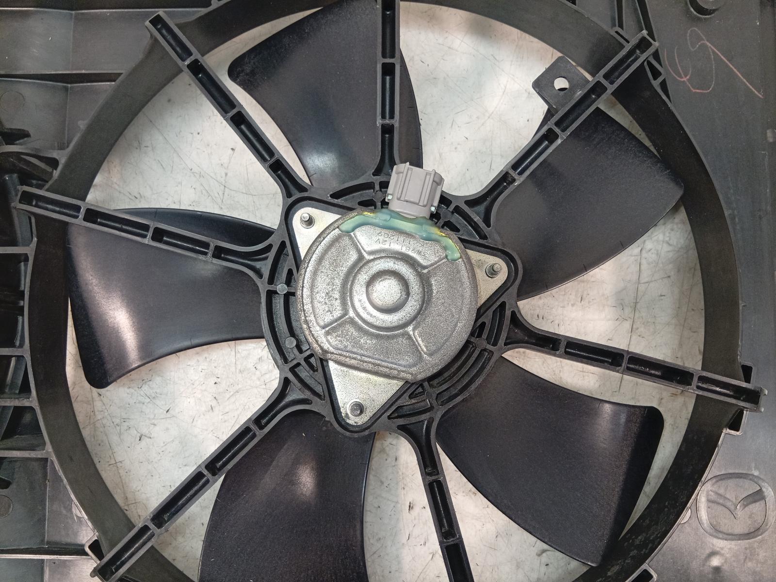 Fan