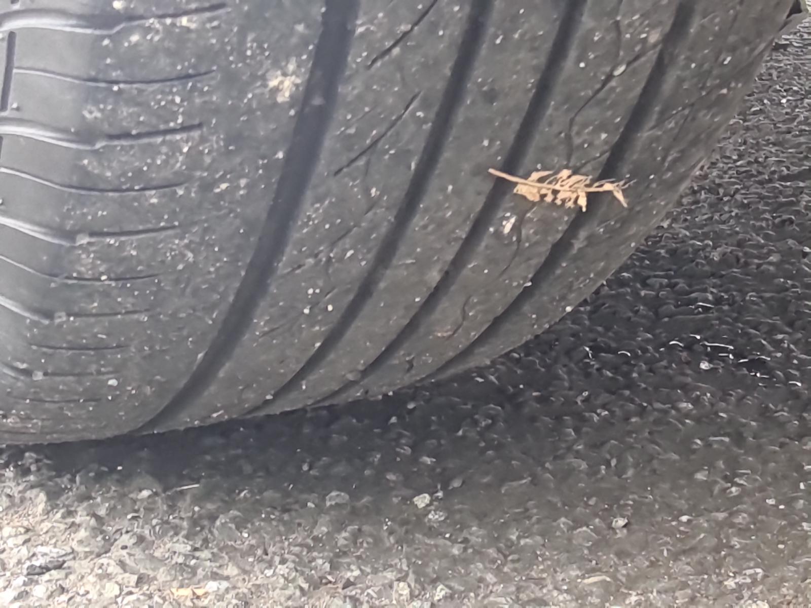 Mazda MPV - LY3P 2007-Present