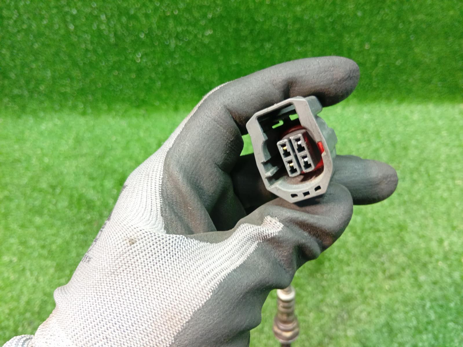 Oxygen Sensor