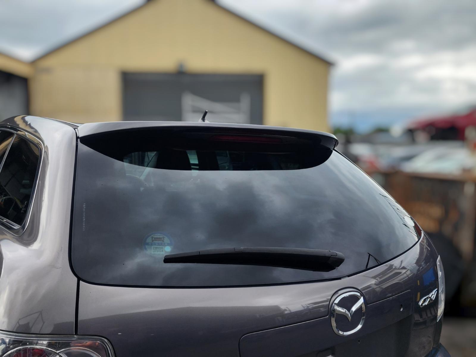 Rear Tailgate Glass