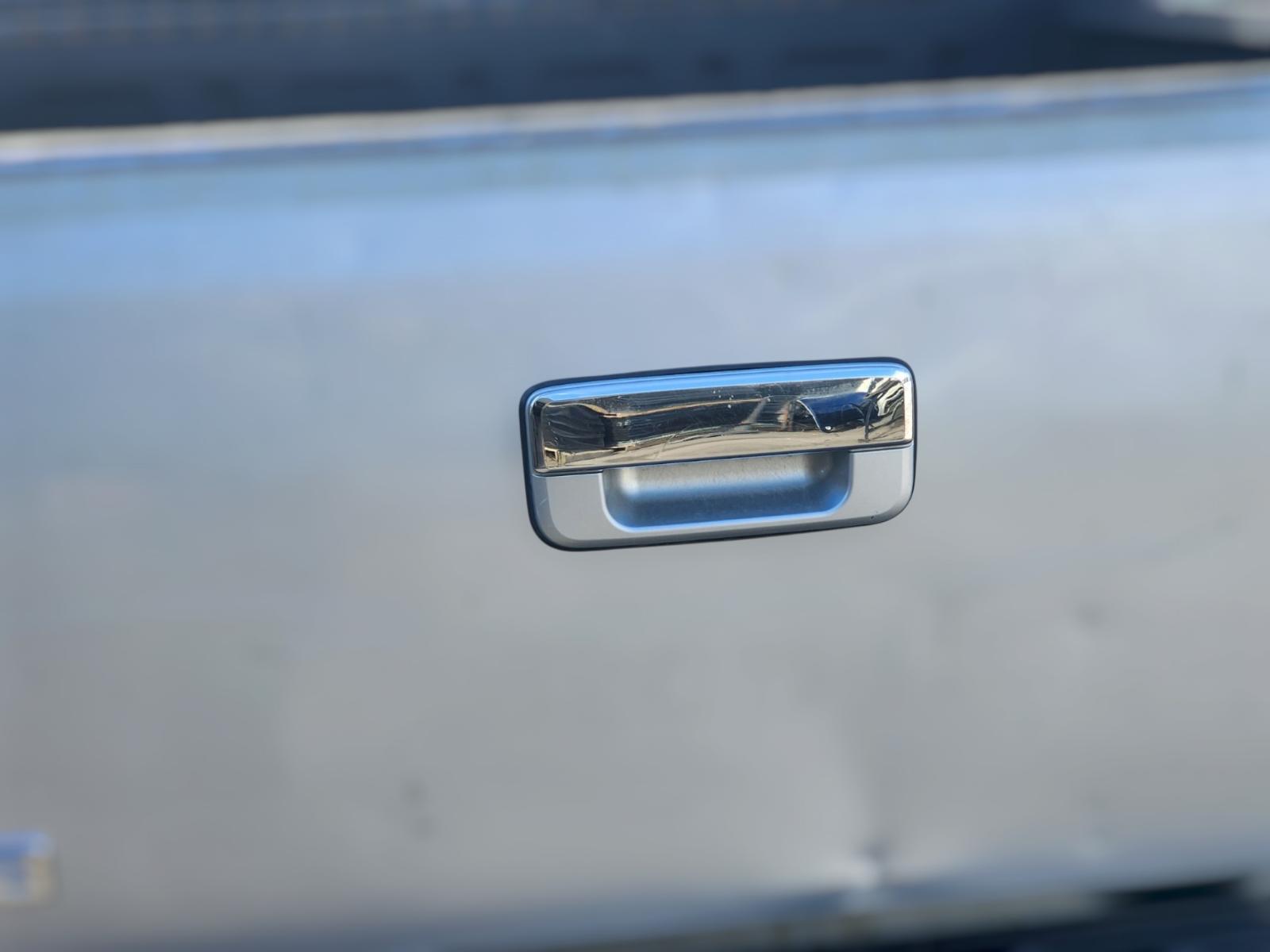 Tailgate_Handle