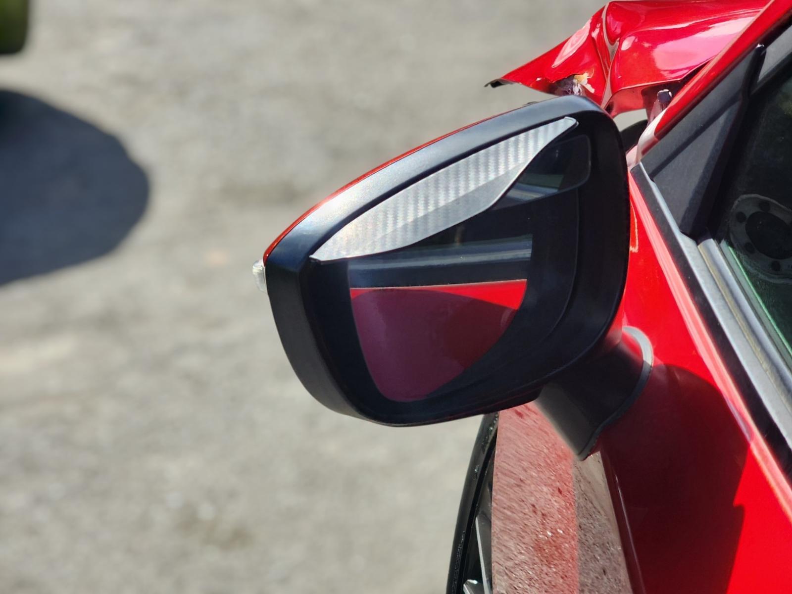Left Door Mirror