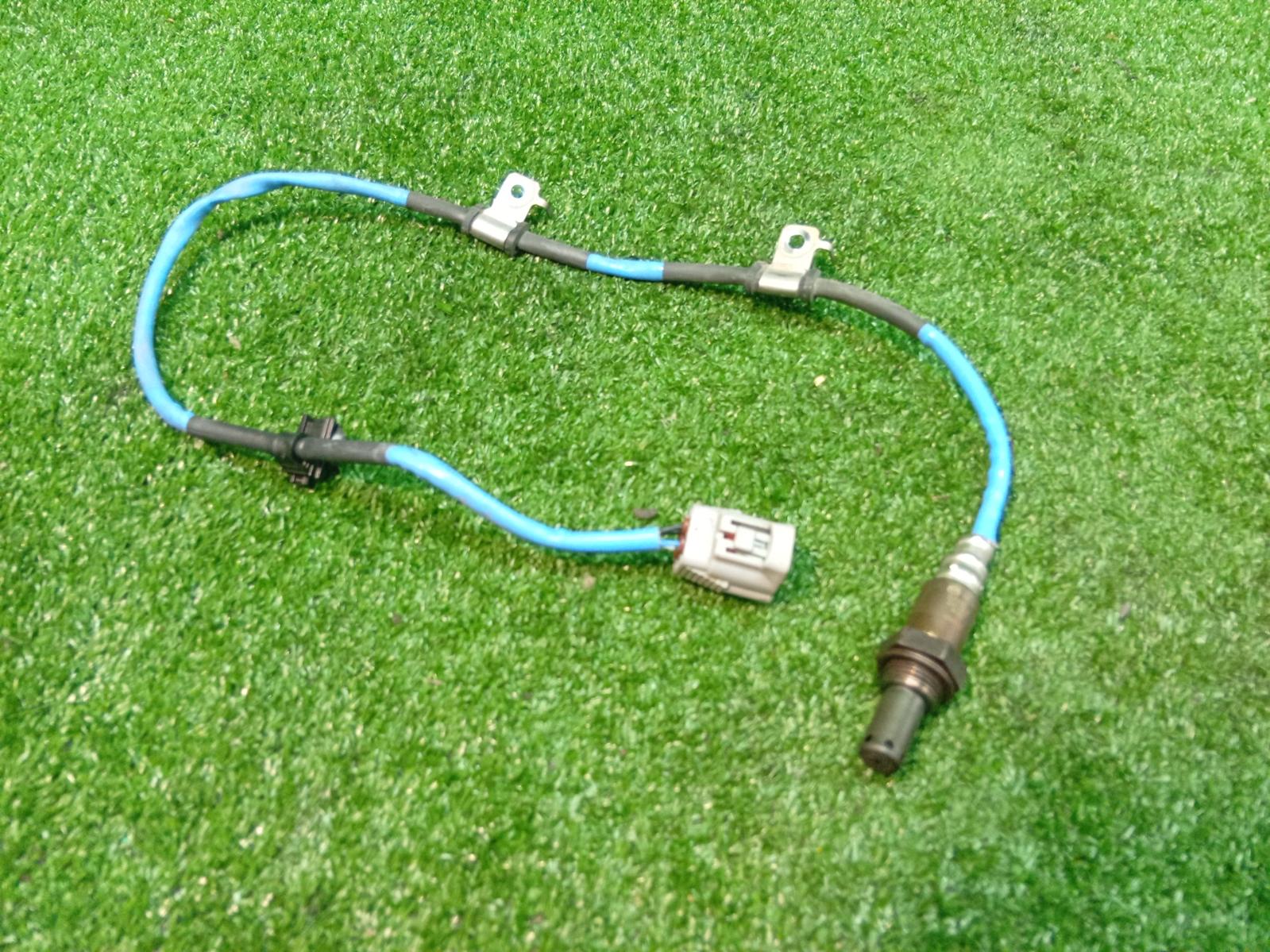Oxygen Sensor