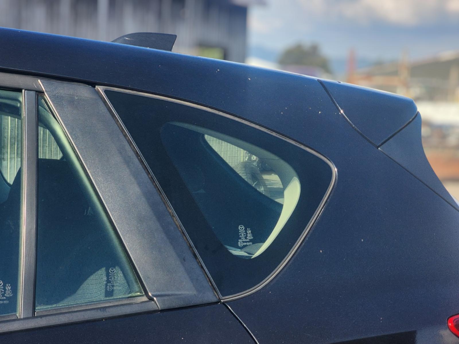 Left Rear Side Glass