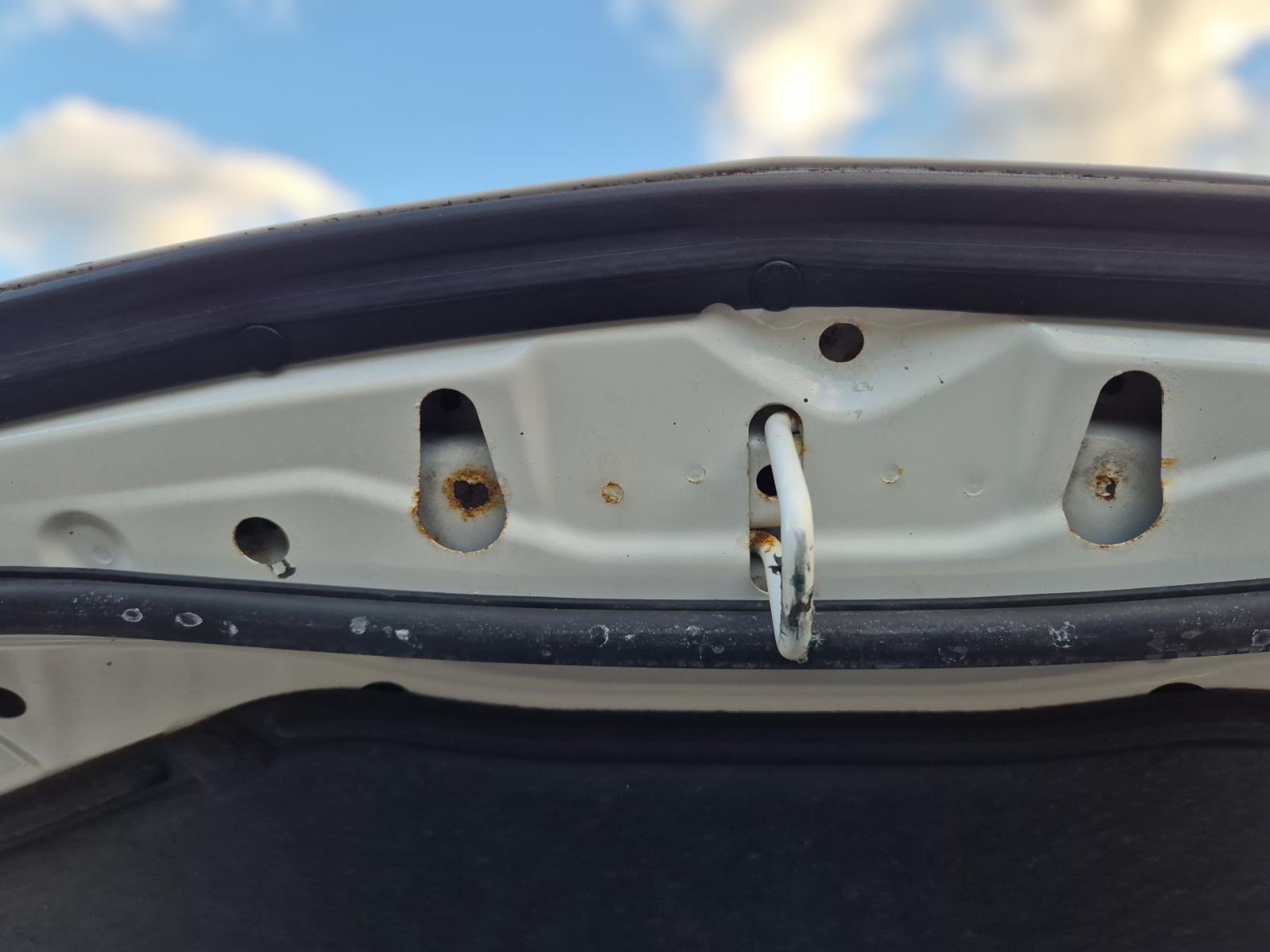 Bonnet