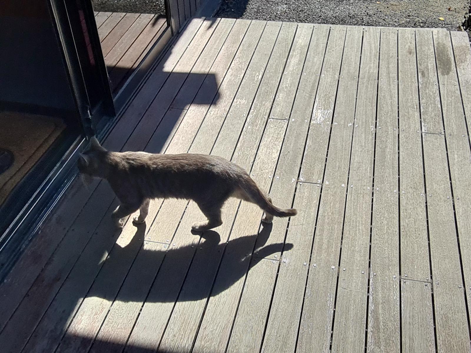 Mazda Axela - BK 2003-2009