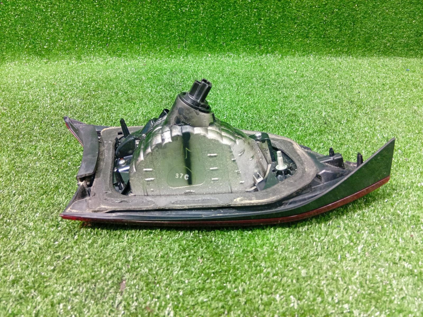 Rear Garnish