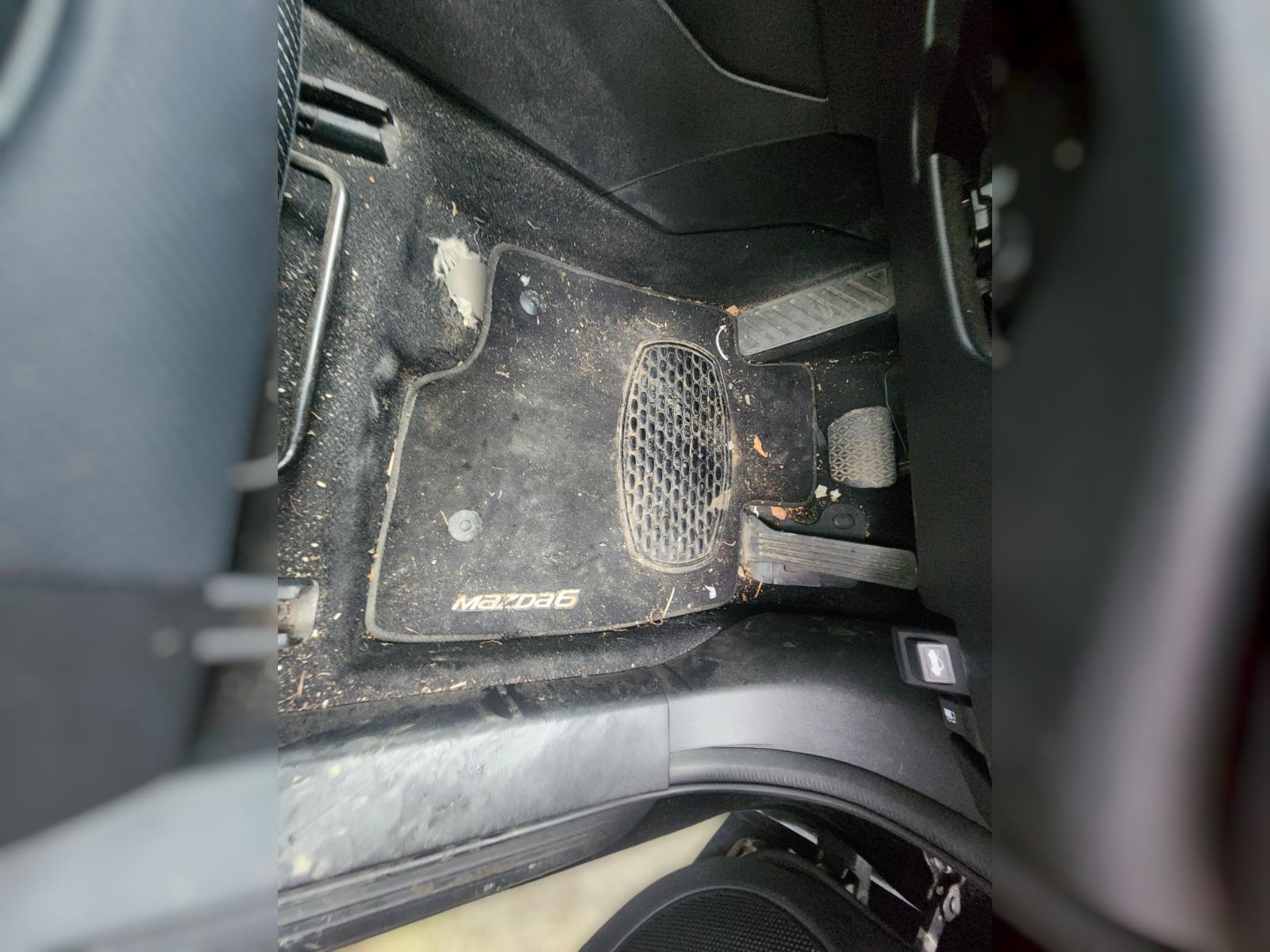 Floor_Mats
