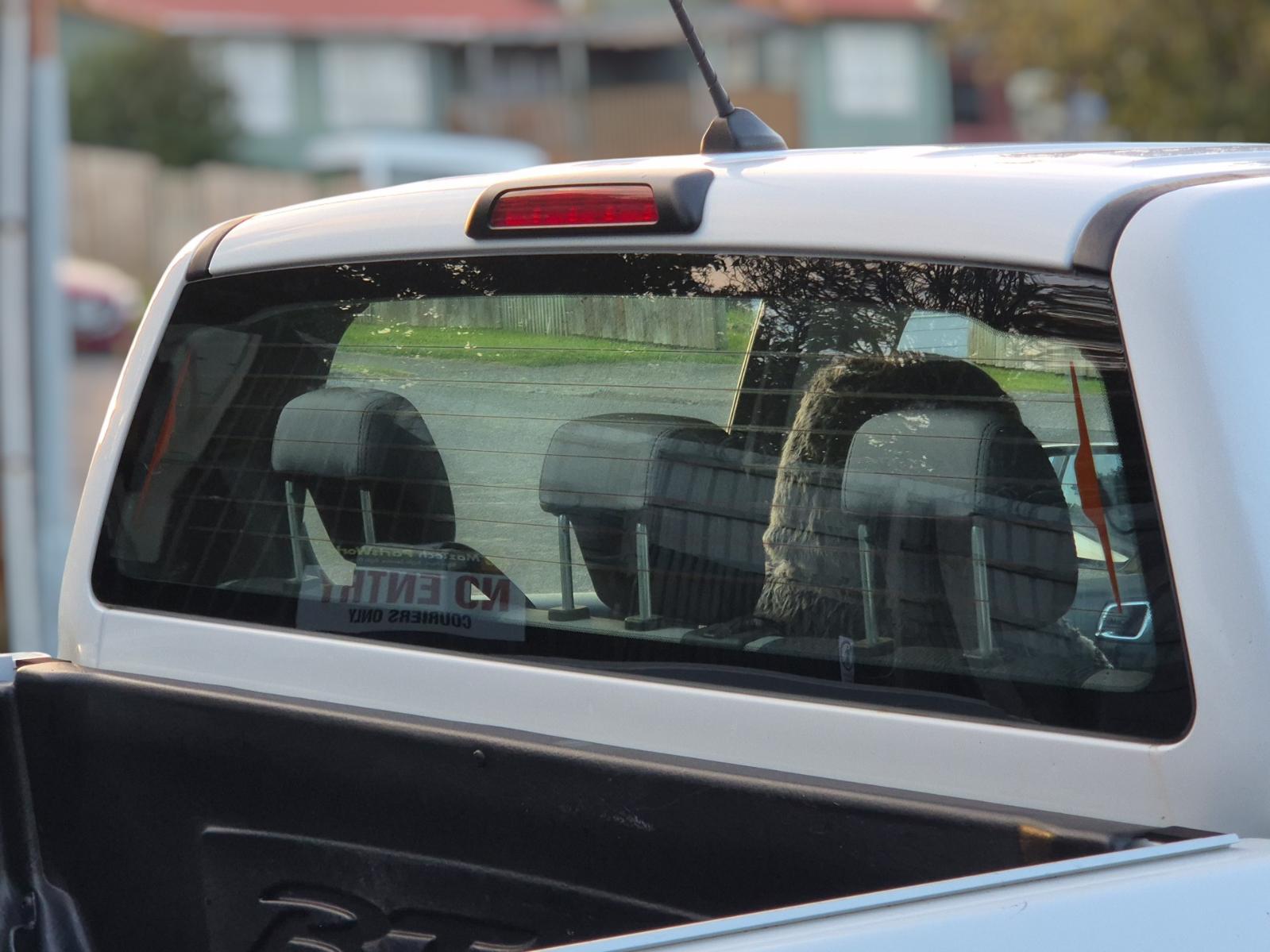 Rear_Tailgate_Glass