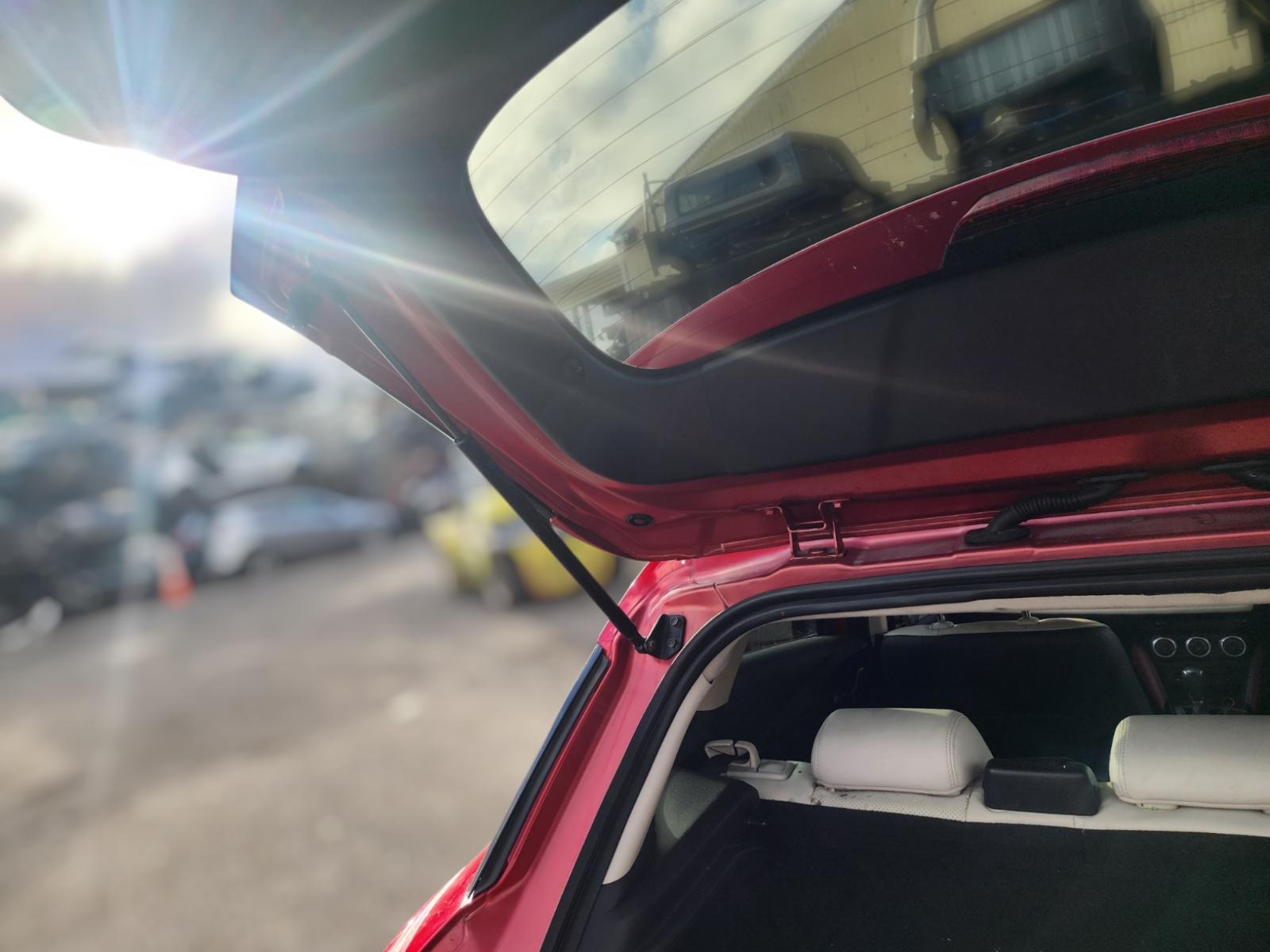 Hatch_Strut
