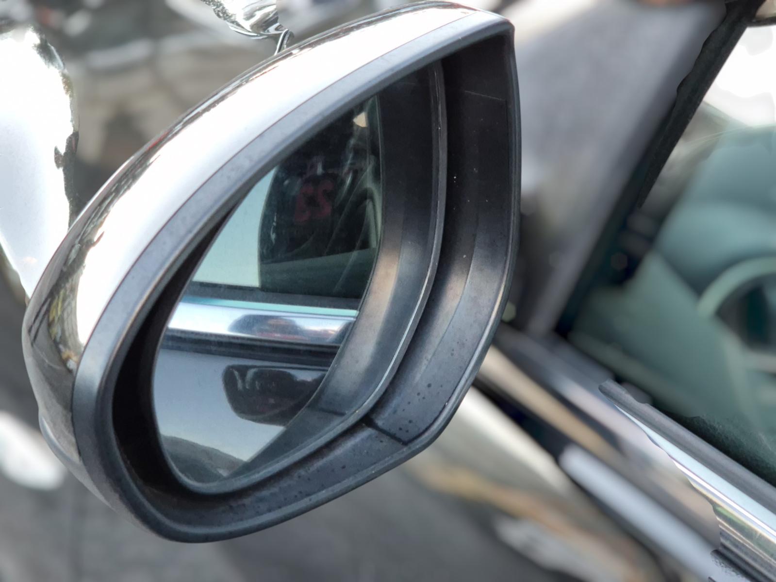 Left_Door_Mirror
