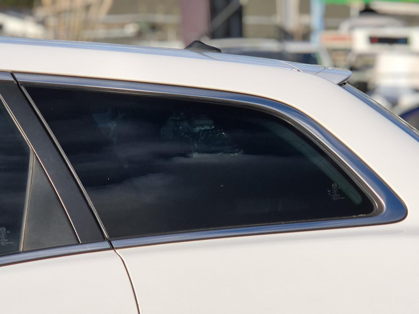 Left_Rear_Side_Glass