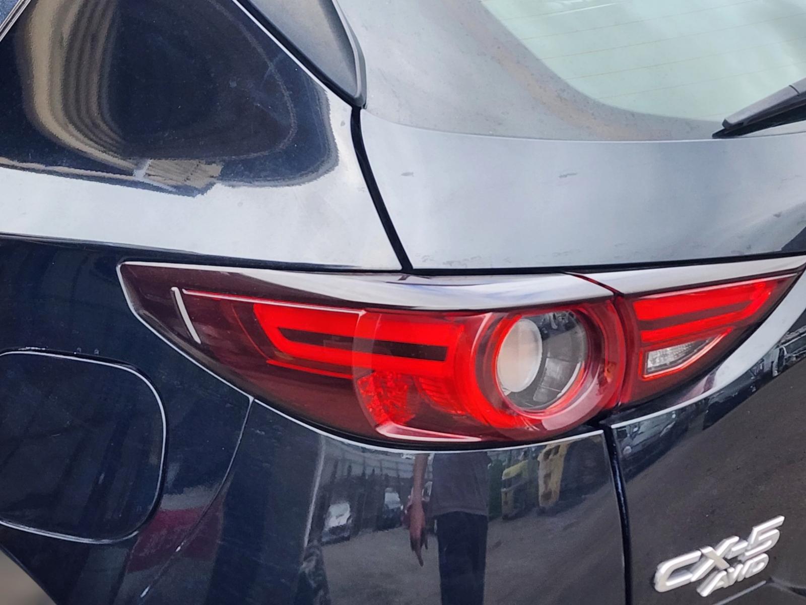 Left Taillight
