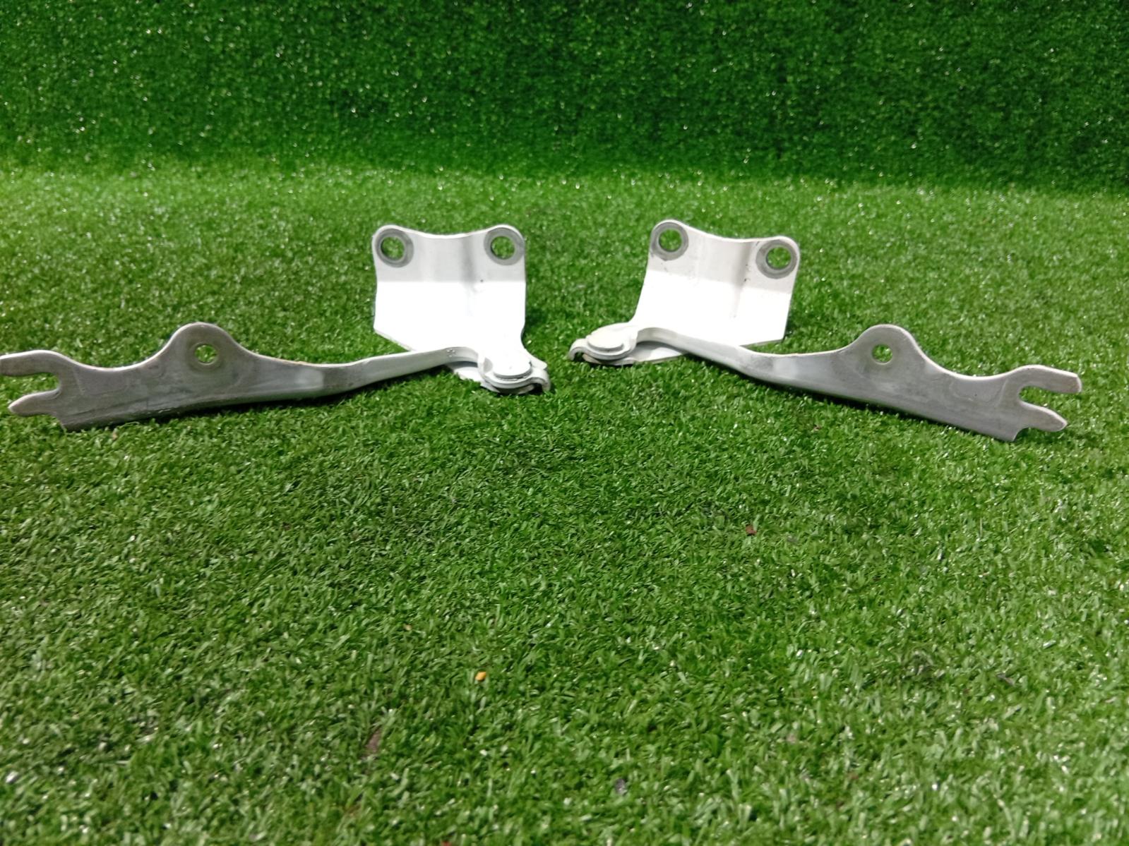 Bonnet Hinge Strut