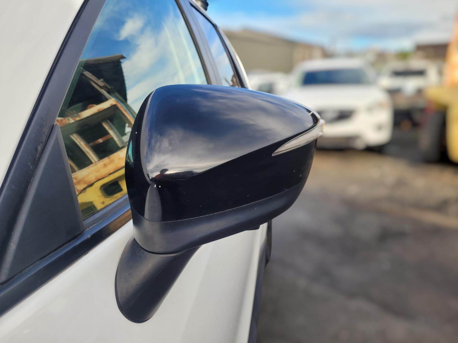 Left_Door_Mirror