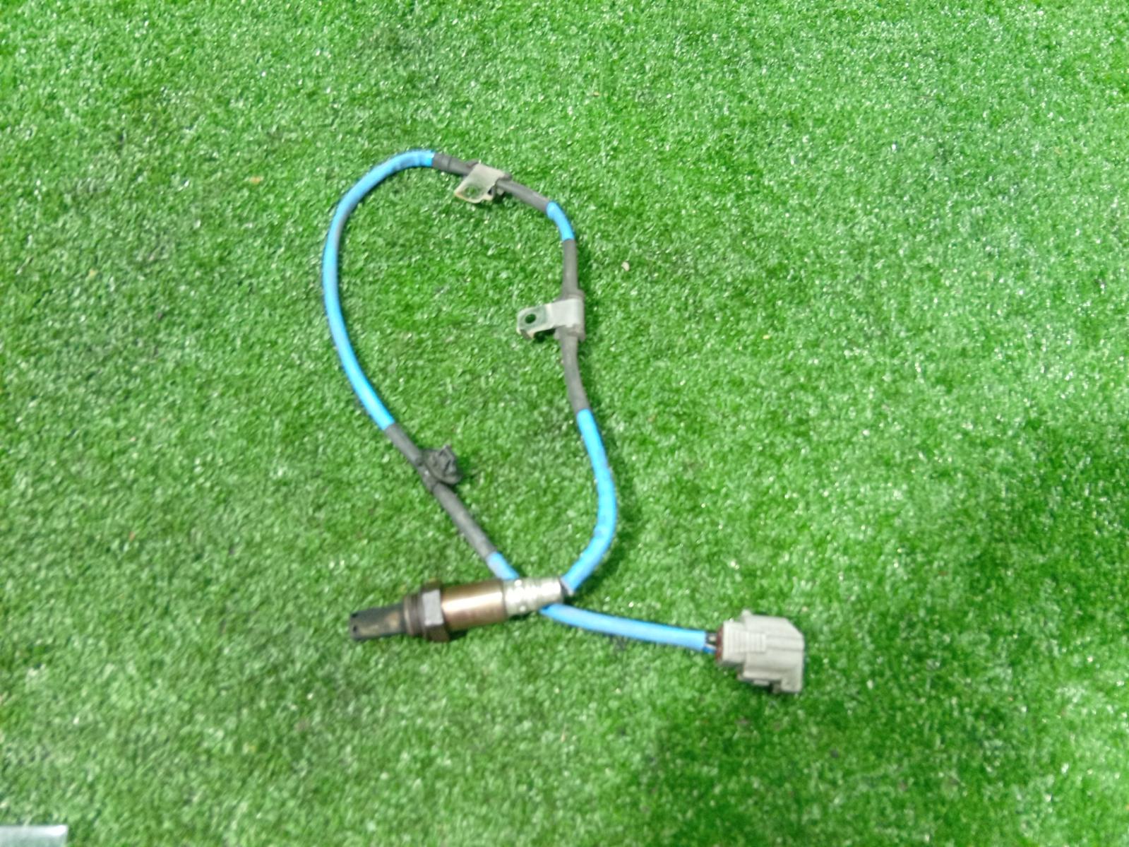 Oxygen Sensor
