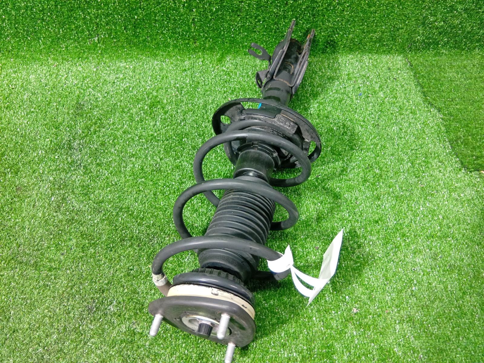 Right Front Strut