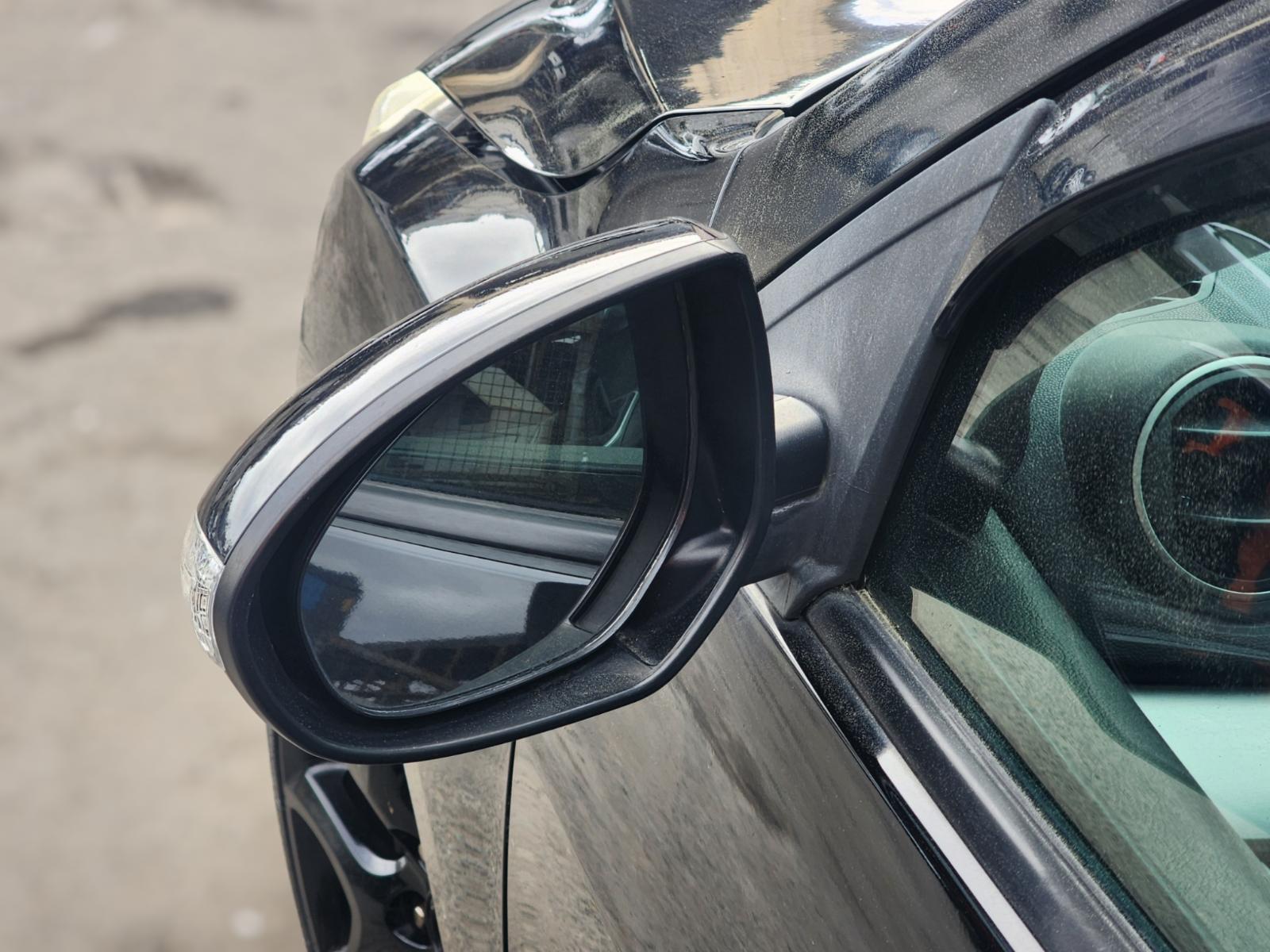 Left_Door_Mirror